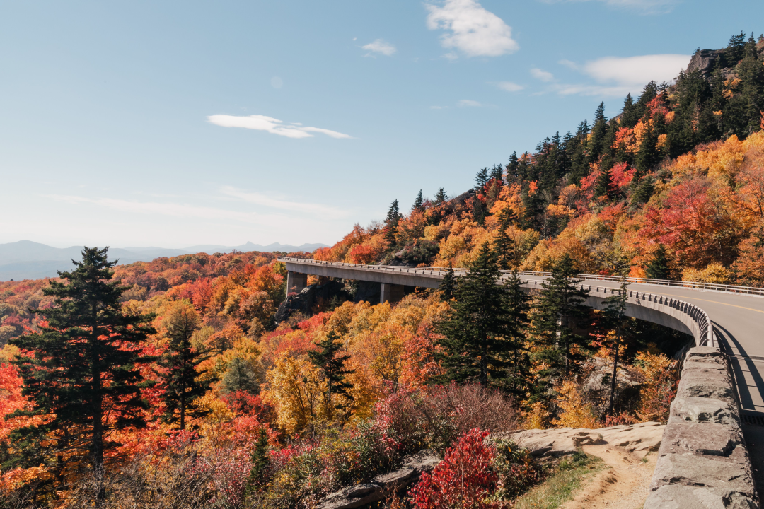 Taking the Scenic Route: America’s 3 Most Picturesque Roads