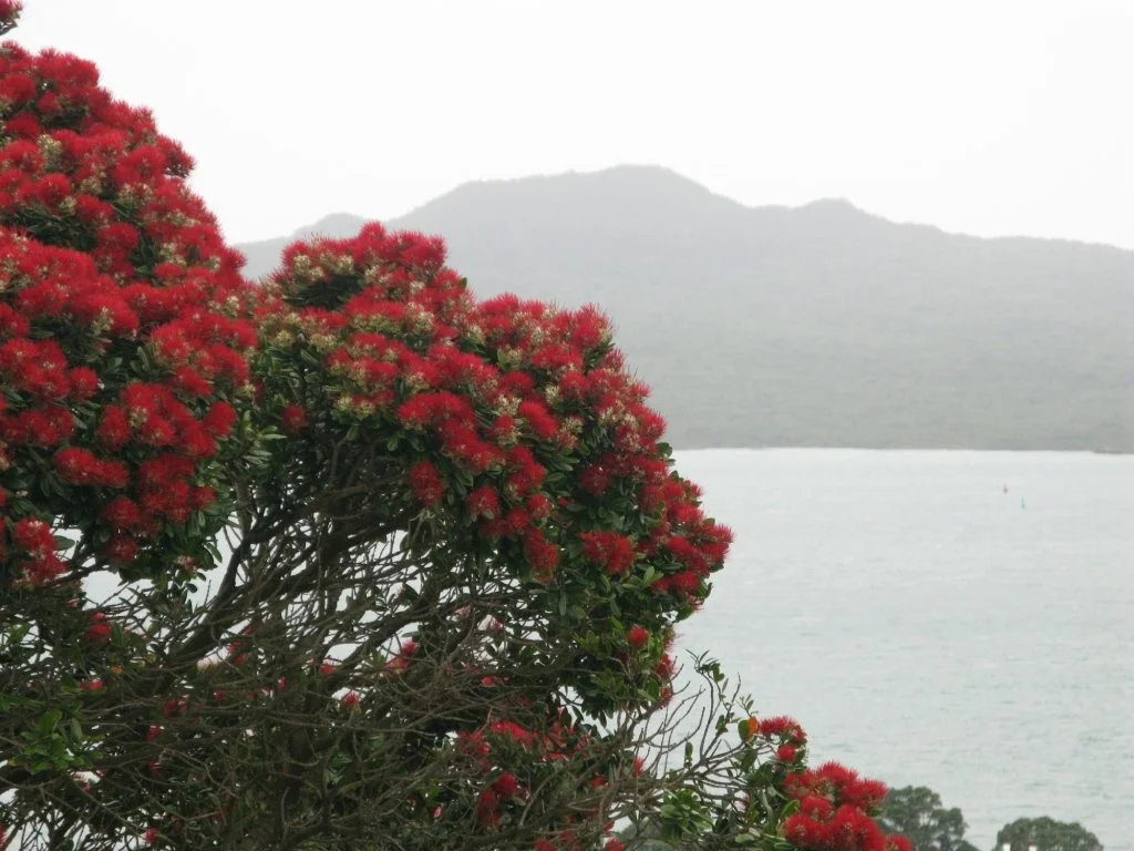 Red flowers on a tree