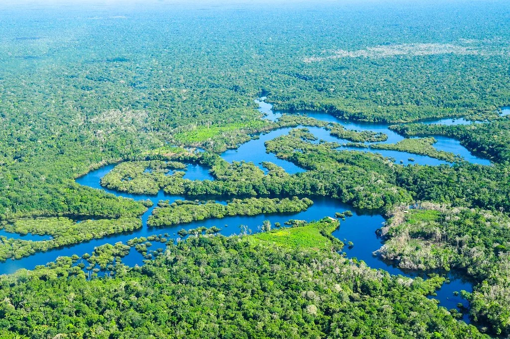 Brazil’s Election May Have Just Saved the Amazon Rainforest
