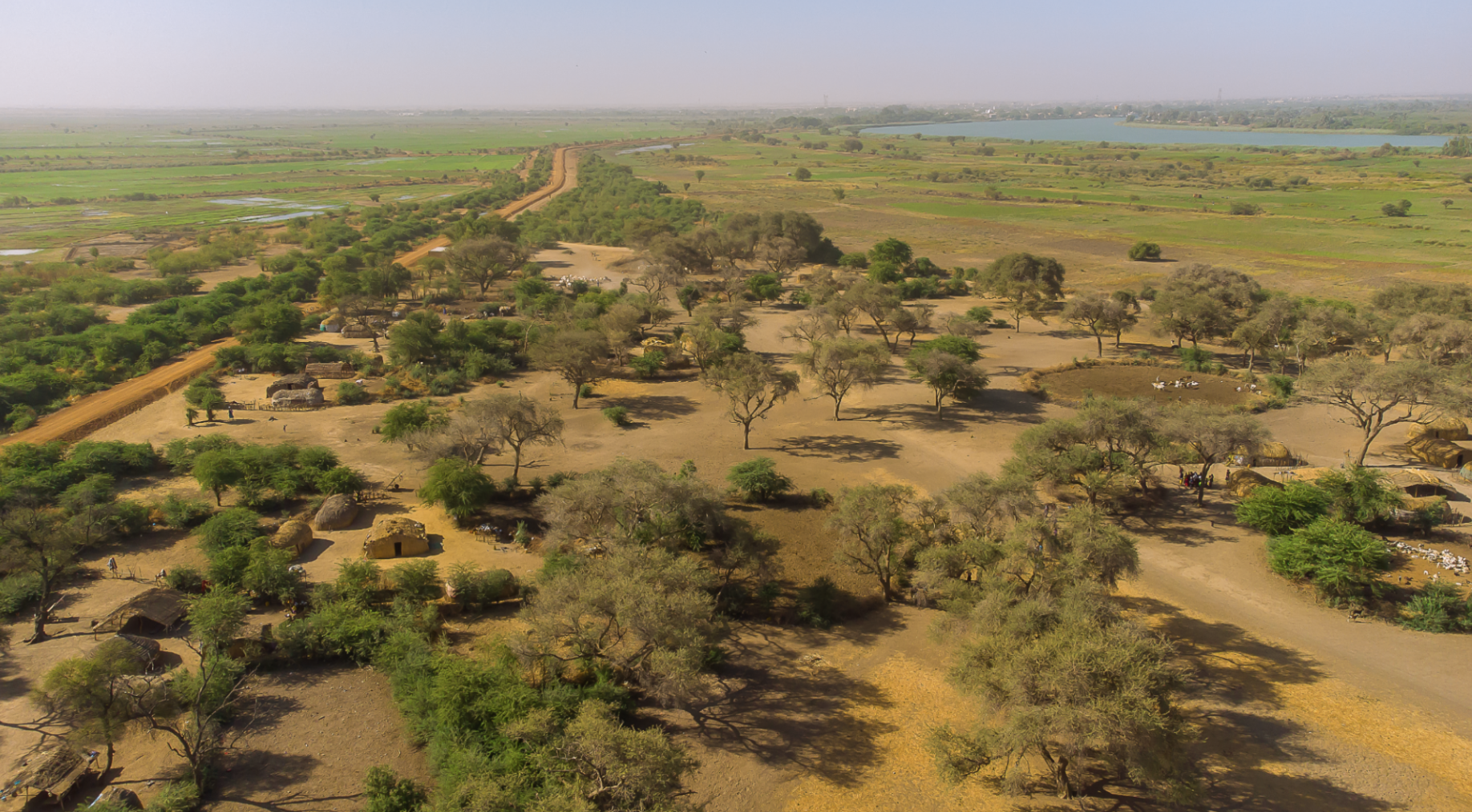 The Great Green Wall: Africa’s Sustainable Wonder 