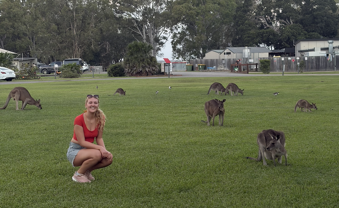 Camping with kangaroos in the Noosa Everglades.
