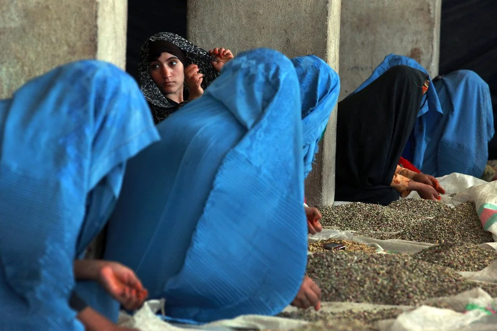 The Taliban’s 5-Year Report Card