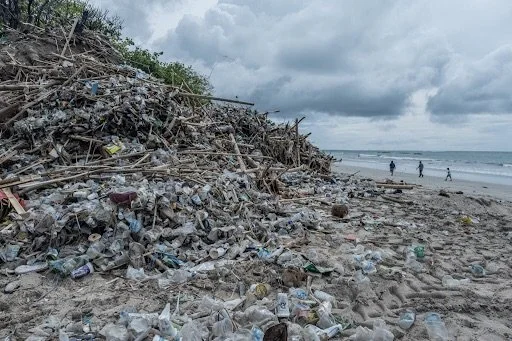 Meet an Organization Tackling Plastic Pollution in Bali