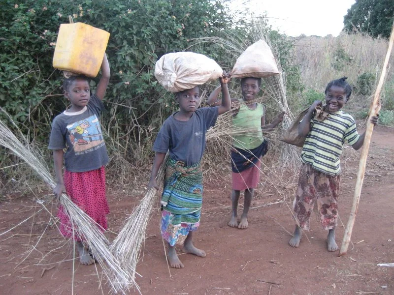 Why Child Labor Persists Despite Global Progress