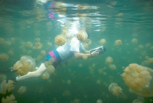 Just Keep Swimming: 7 Exotic Snorkeling Sites