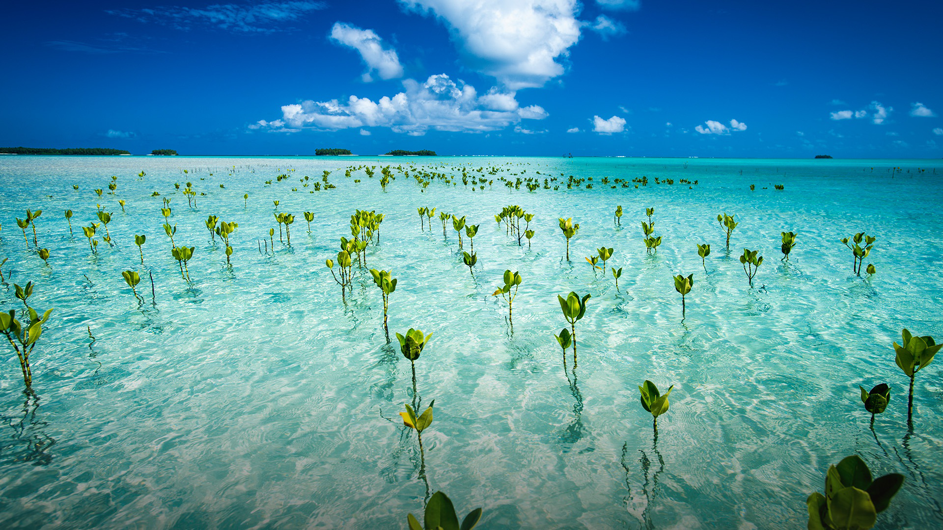 7 Eco-Adventures in Tuvalu: The World's Least-Visited Country