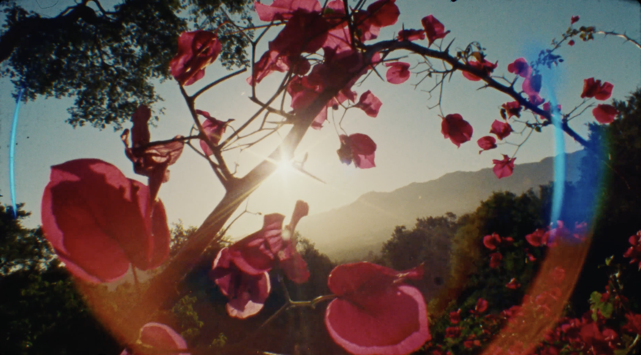 Screenshot 2026-01-09 at 9.51.19 AM.png