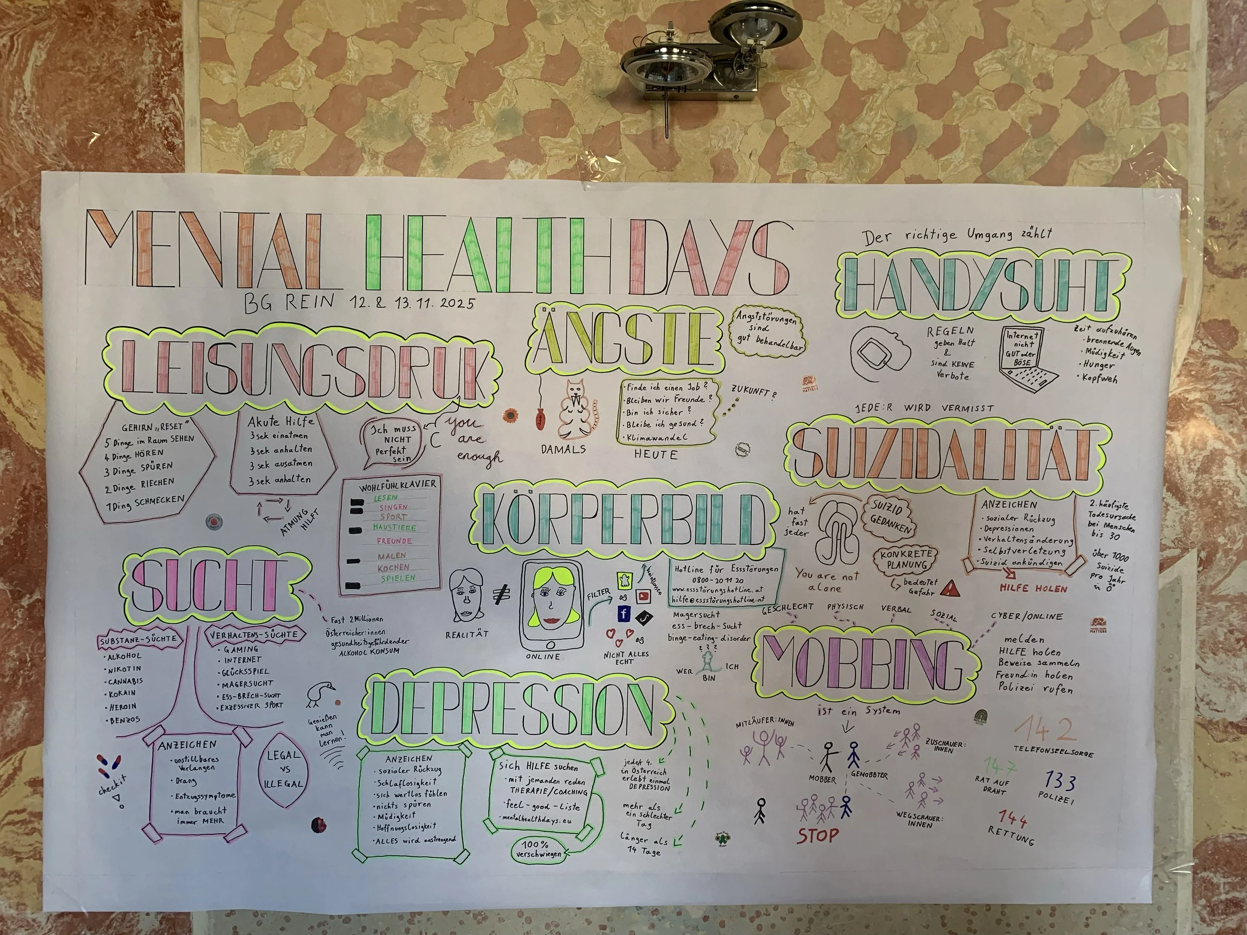 TdpG_BG Rein_251112_03.jpg