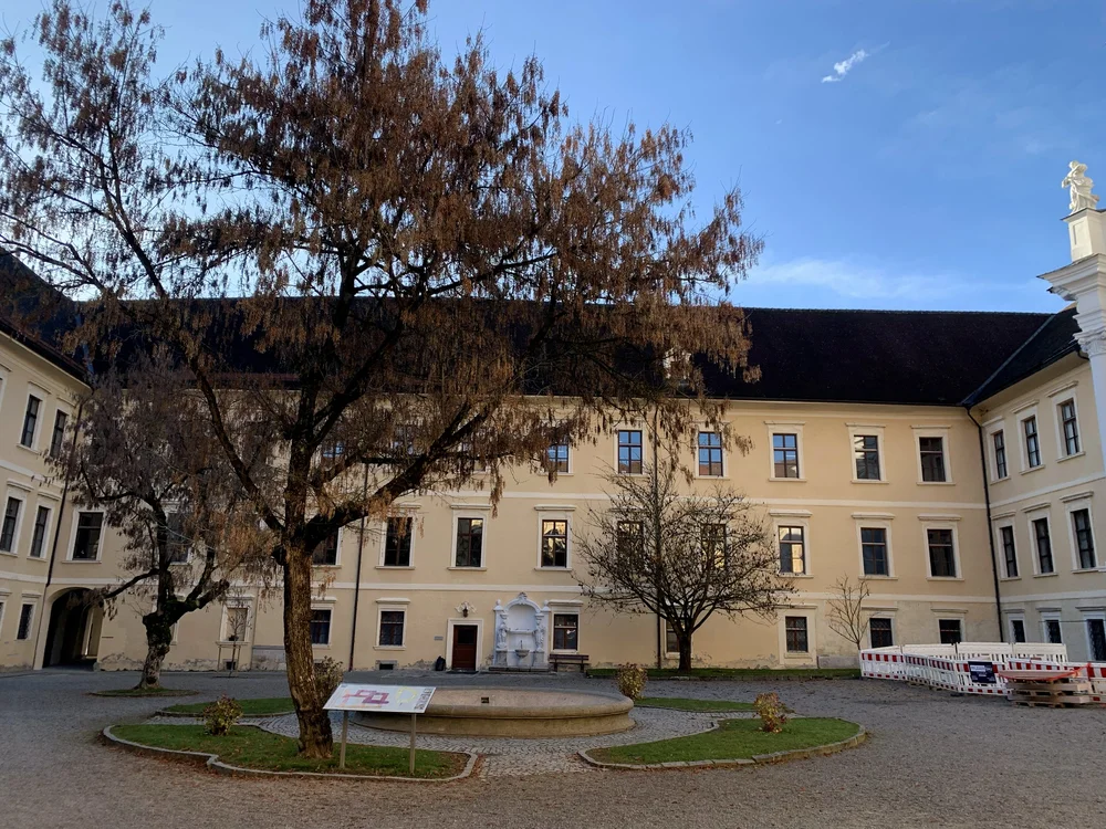 TdpG_BG Rein_251112_11.jpg