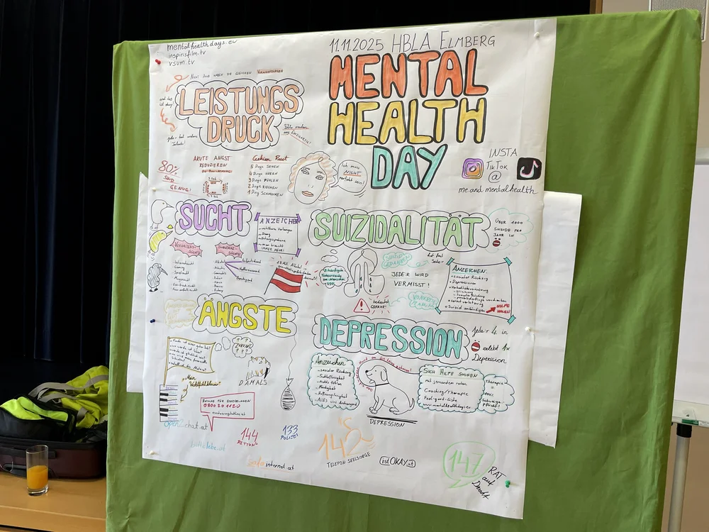 TdpG_HBLA Elmberg Linz_251111_12.jpg