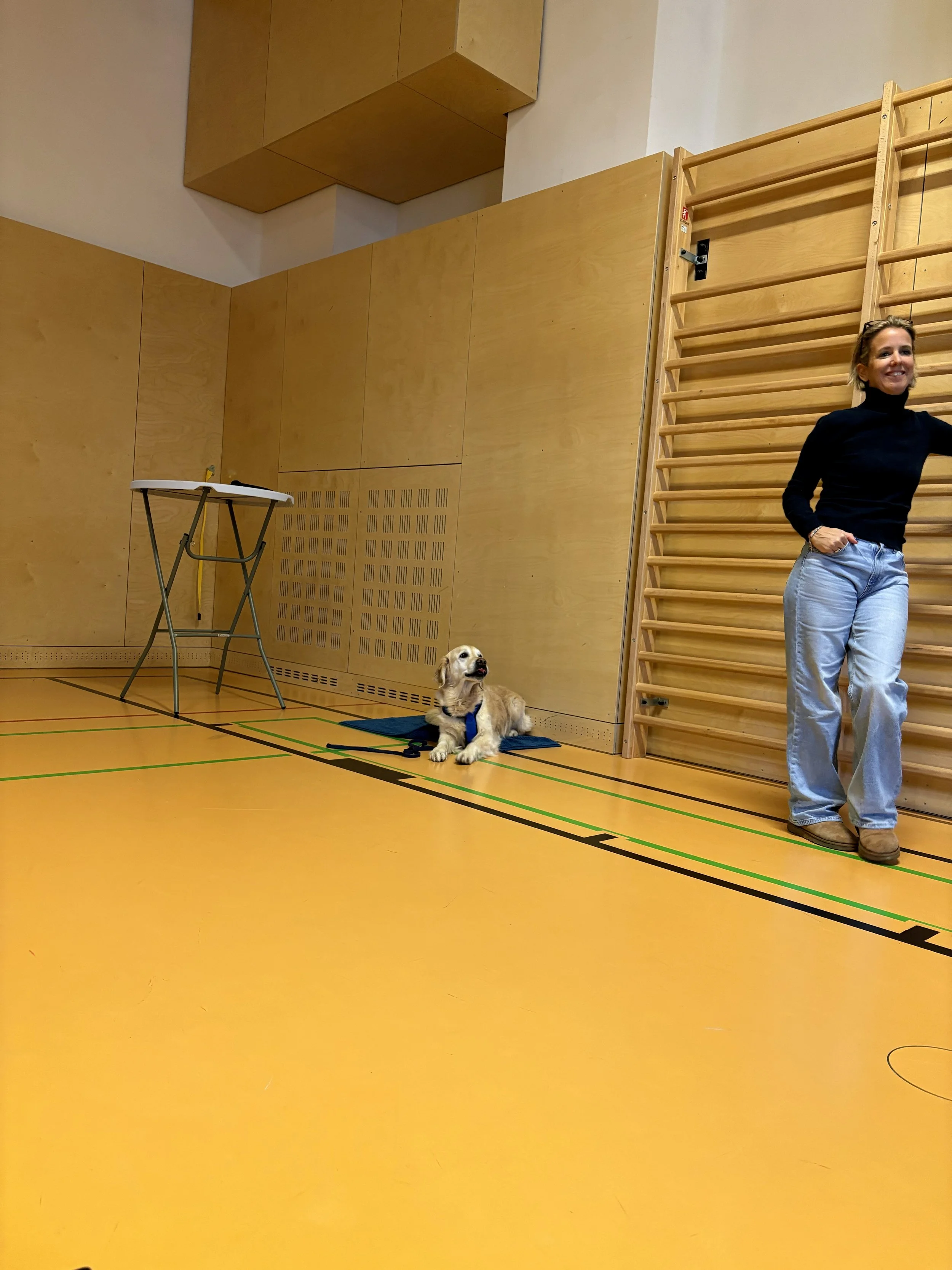 TdpG_MS Singrienergasse EXTENDED_251118_41.jpg