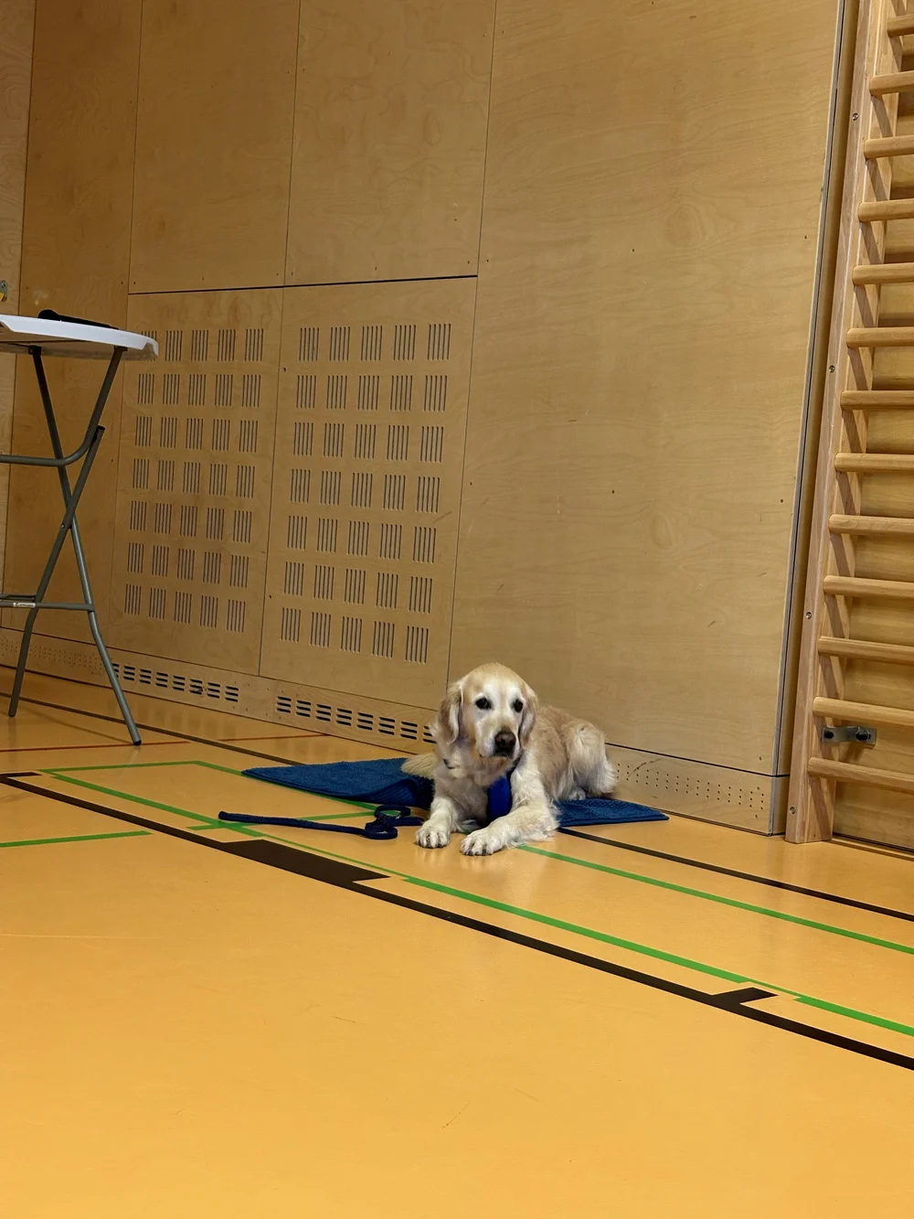 TdpG_MS Singrienergasse EXTENDED_251118_42.jpg