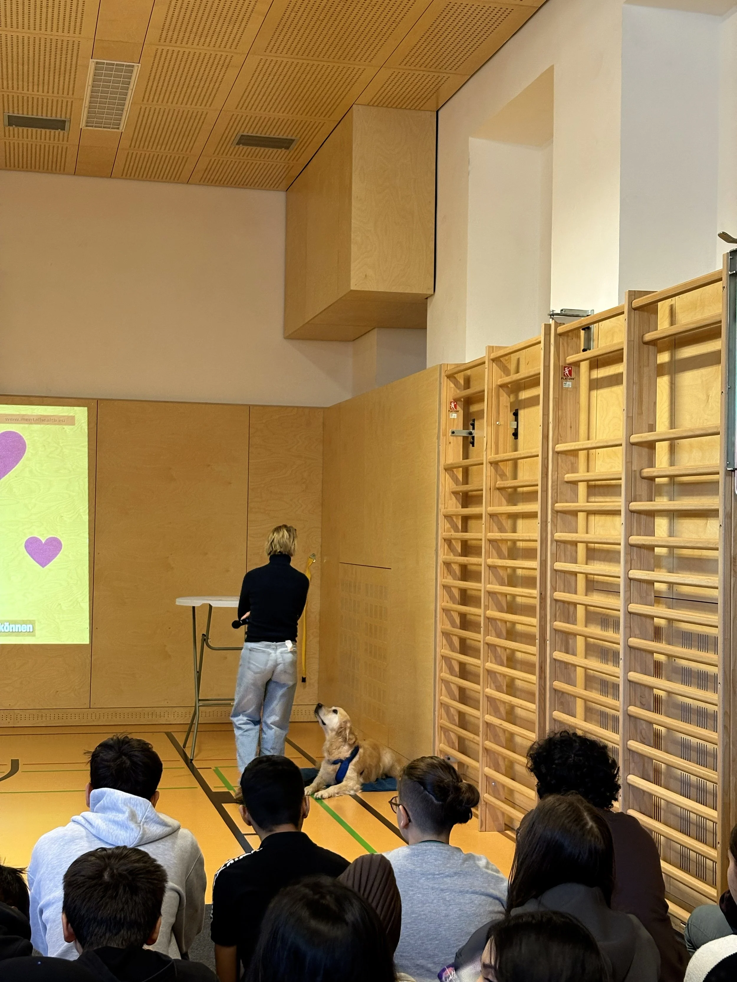 TdpG_MS Singrienergasse EXTENDED_251118_43.jpg