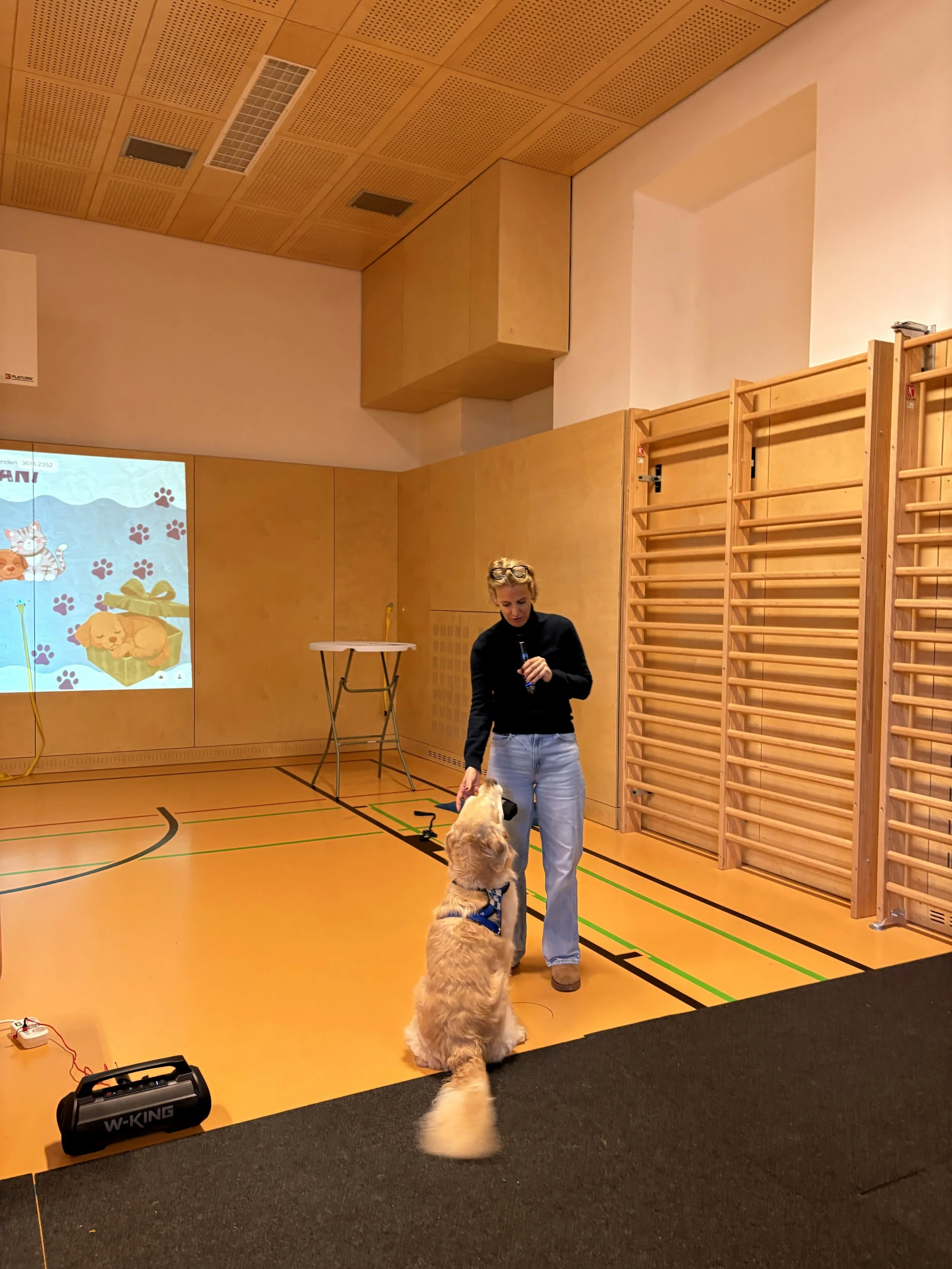 TdpG_MS Singrienergasse EXTENDED_251118_61.jpg