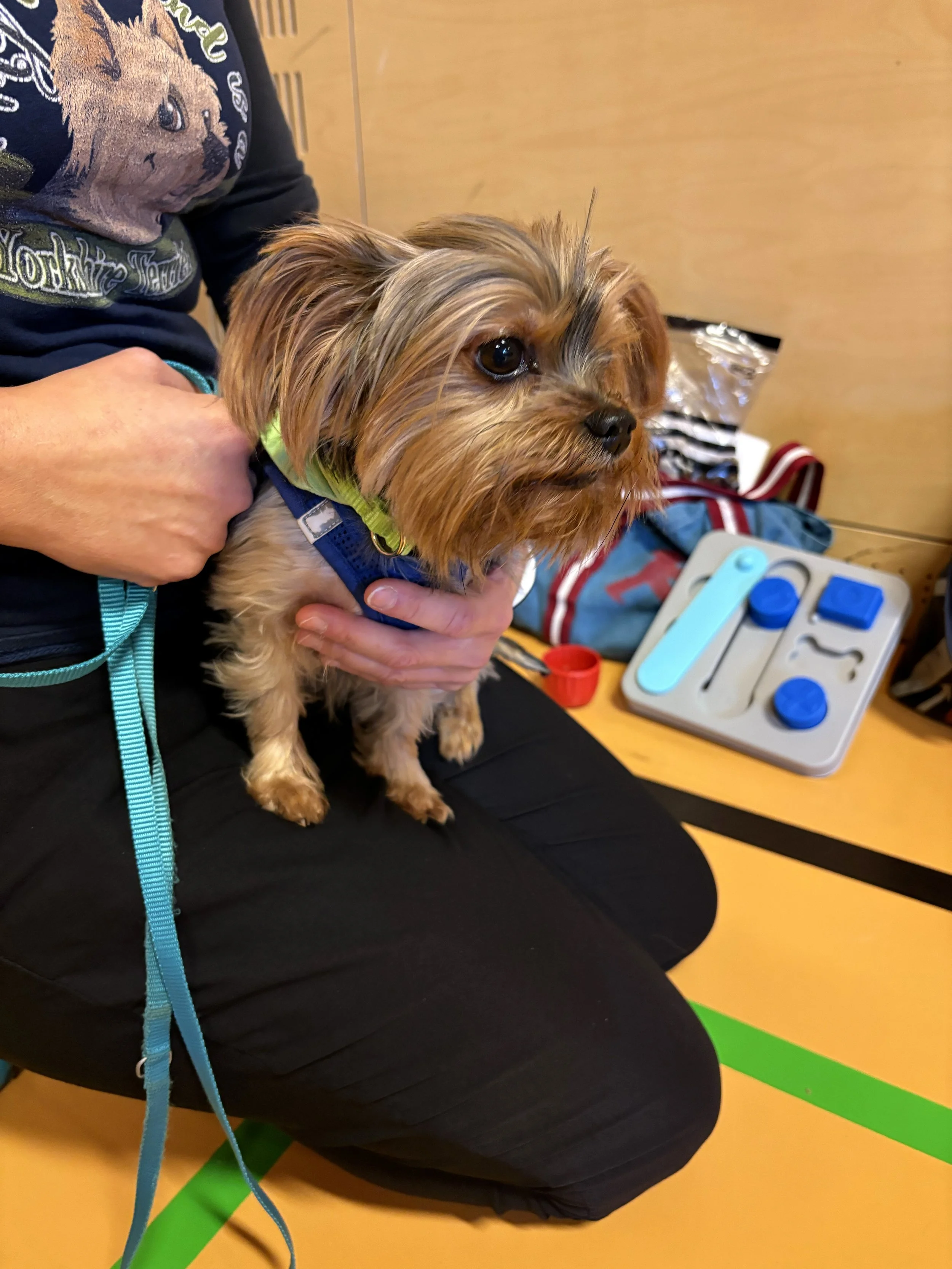 TdpG_MS Singrienergasse EXTENDED_251118_126.jpg