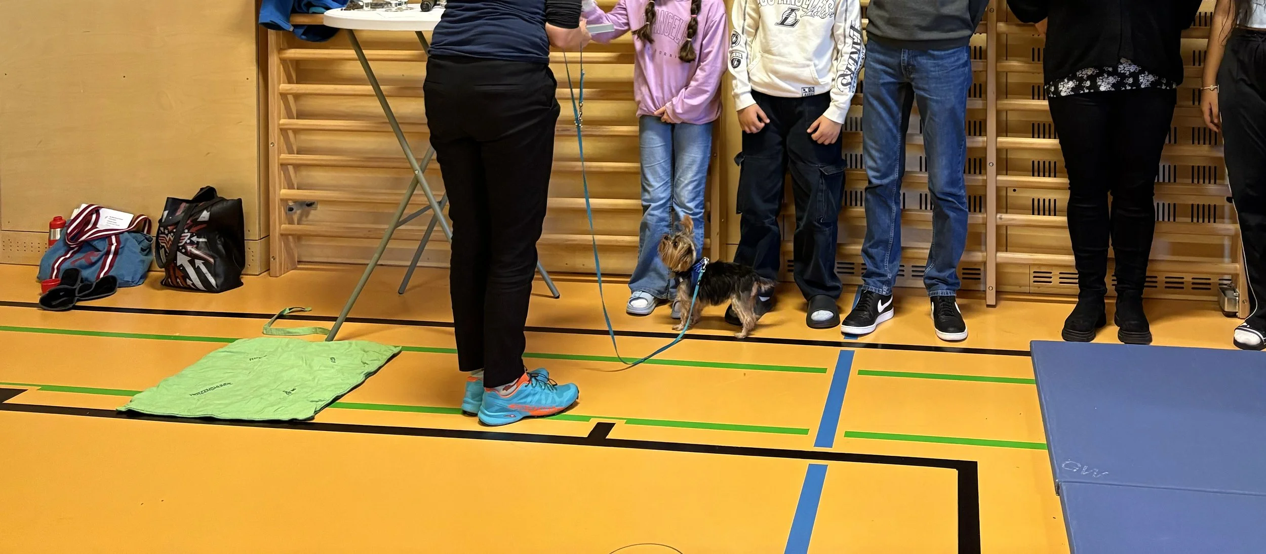 TdpG_MS Singrienergasse EXTENDED_251118_129.jpg