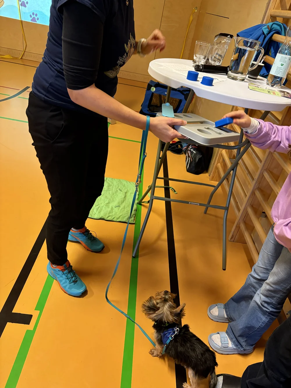 TdpG_MS Singrienergasse EXTENDED_251118_131.jpg