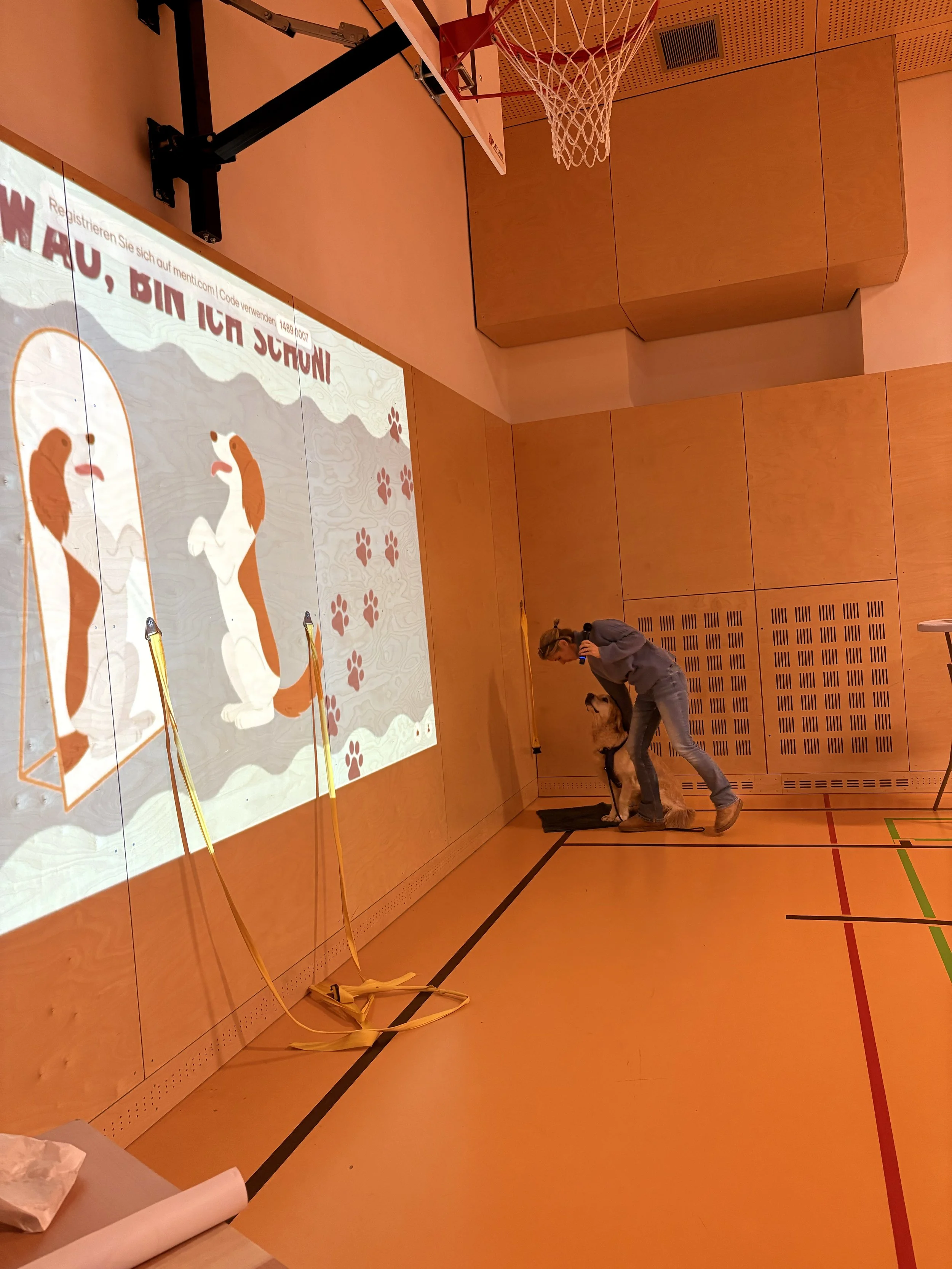 TdpG_MS Singrienergasse EXTENDED_251118_218.jpg