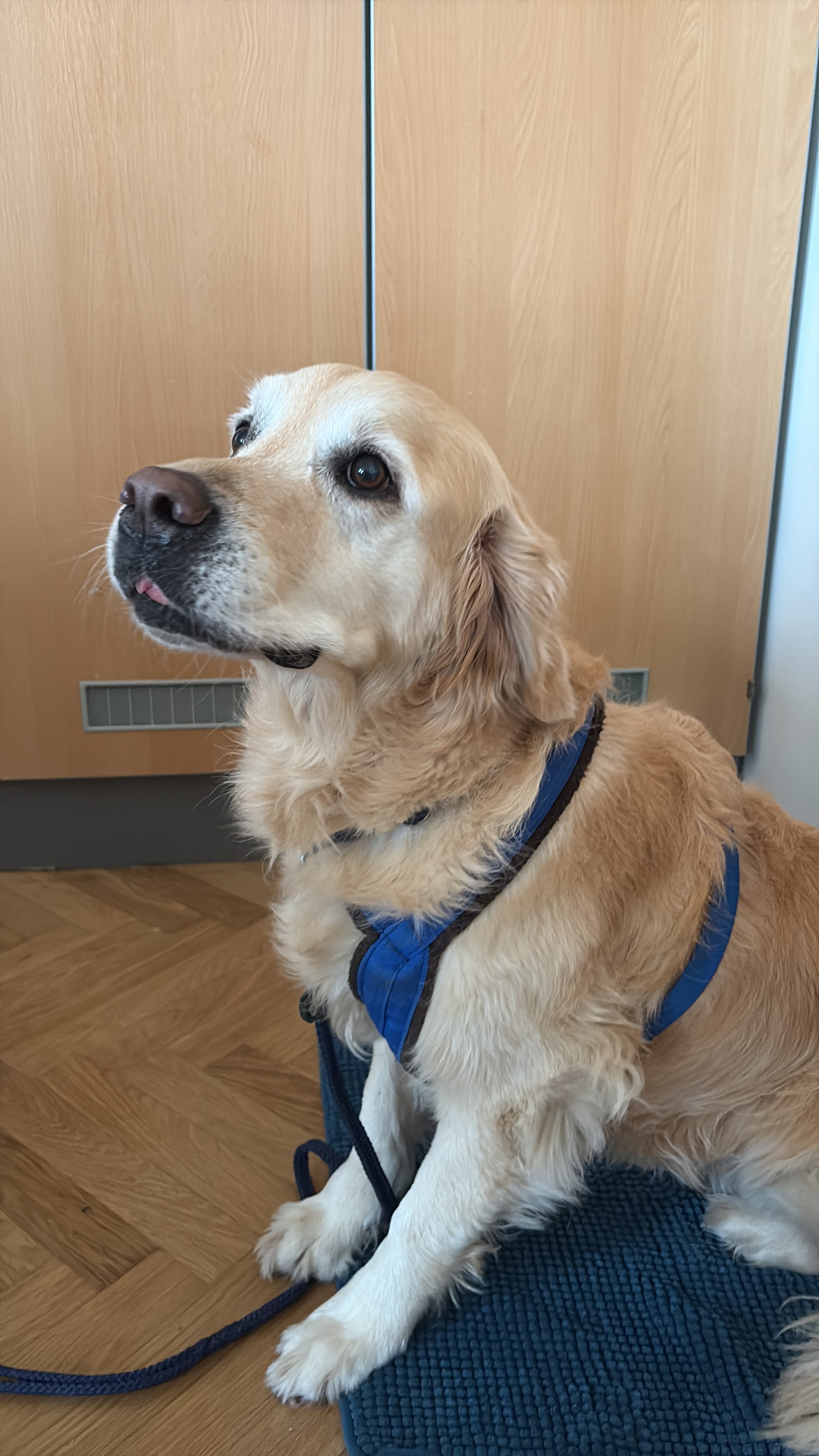 TdpG_MS Schopenhauerstraße_251124_01.JPG