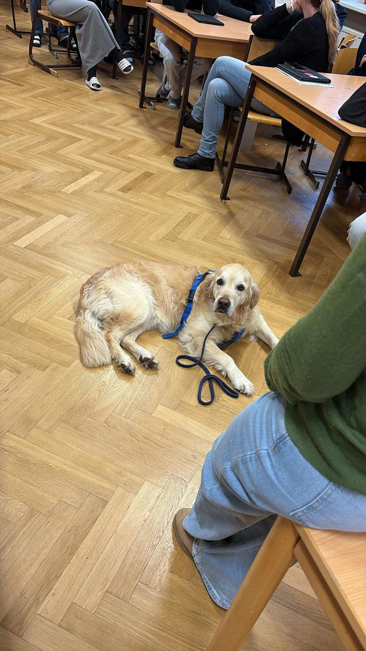 TdpG_MS Schopenhauerstraße_251124_44.JPG