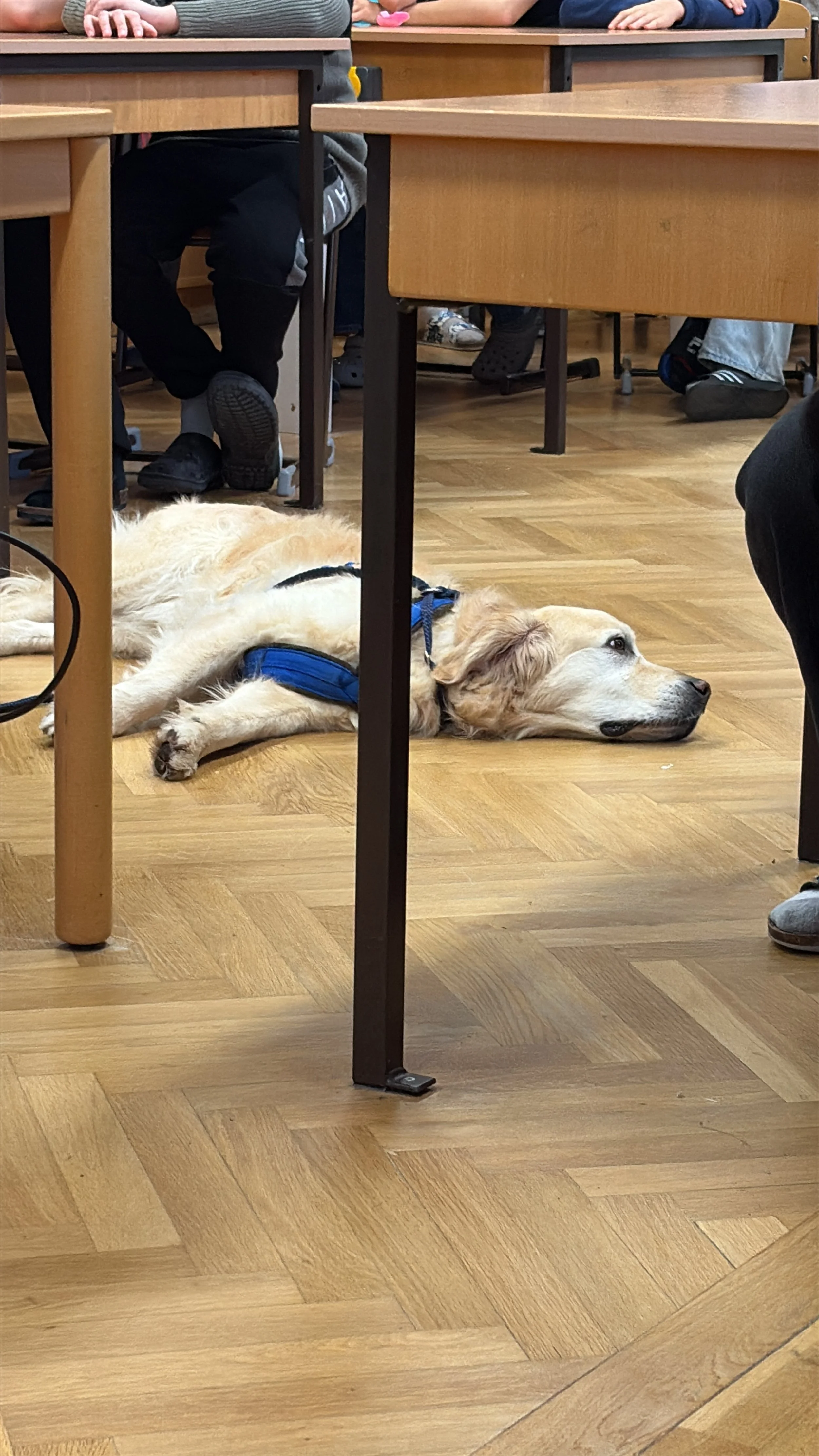 TdpG_MS Schopenhauerstraße_251124_47.JPG