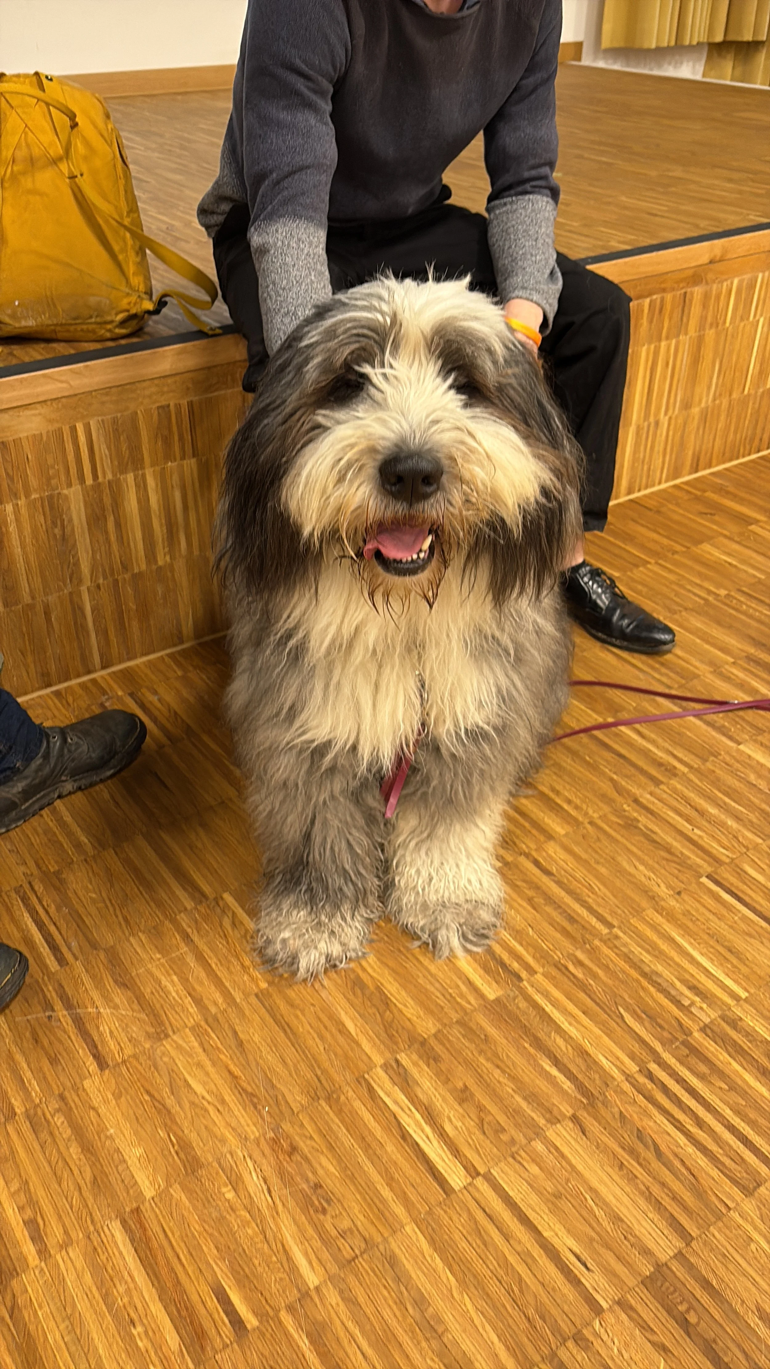 TdpG_Bildungscampus Innerfavoriten_251216_02.JPG