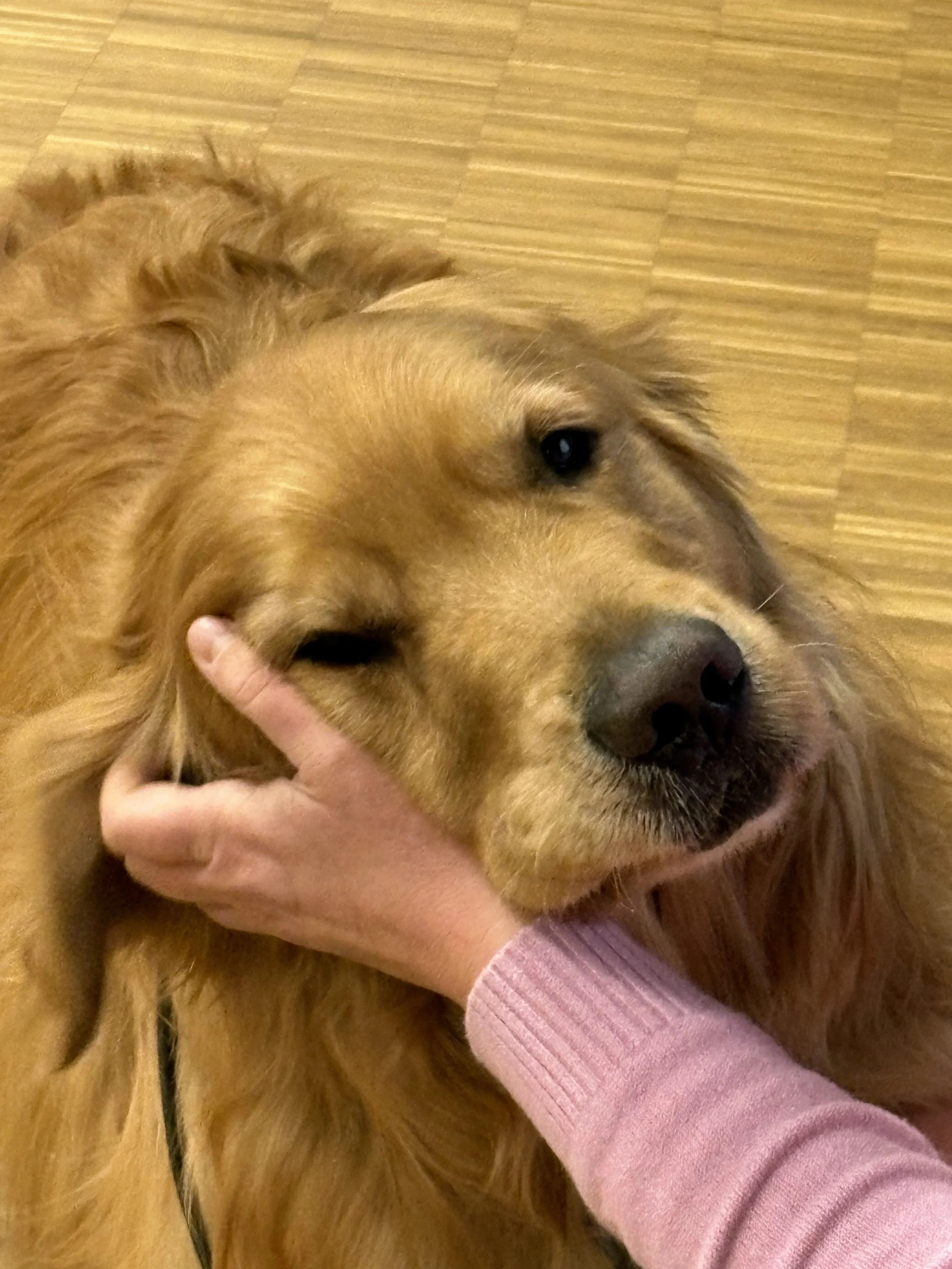 TdpG_Bildungscampus Innerfavoriten_251216_157.jpg