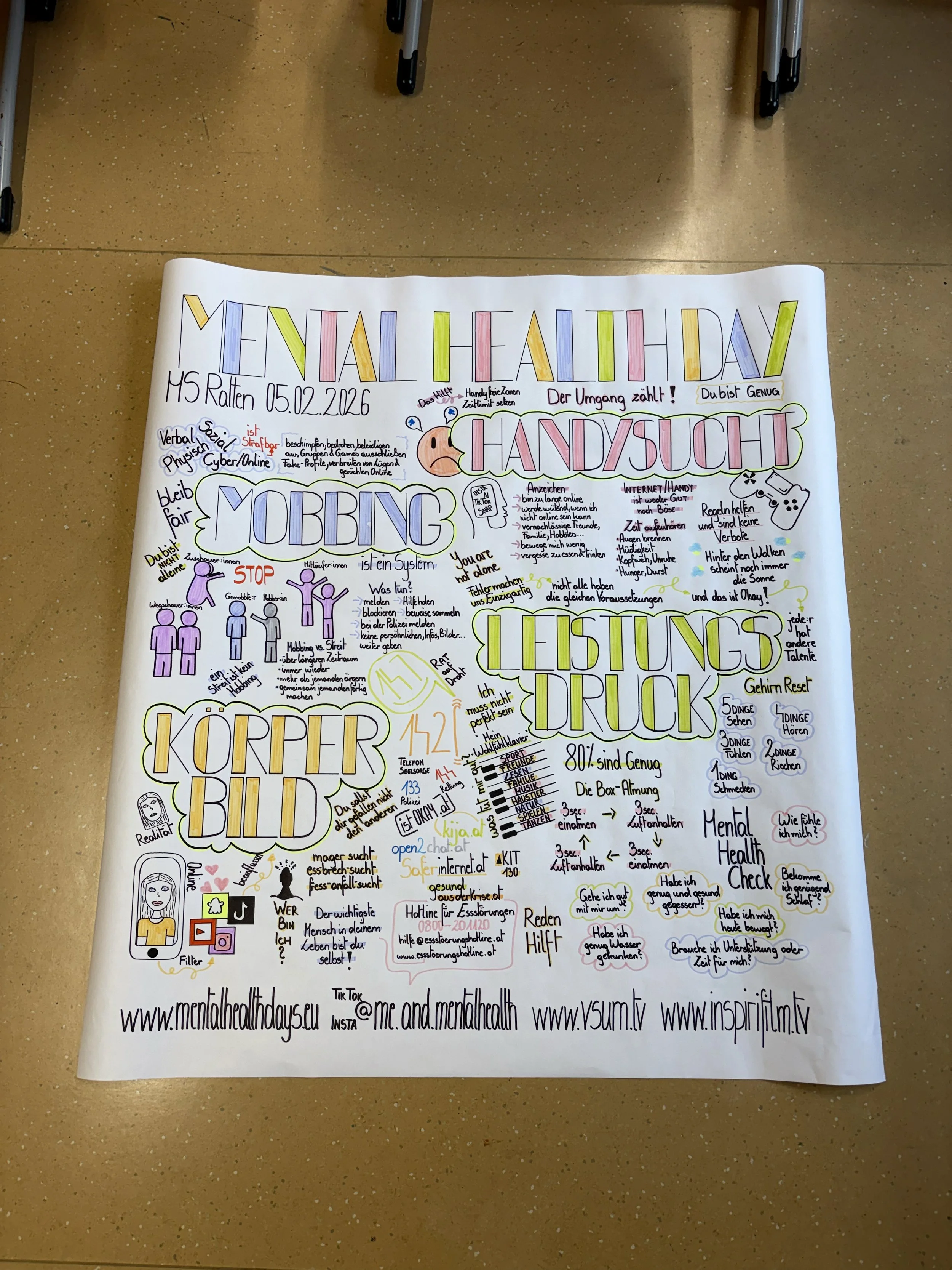 TdpG_MS Ratten_260205_20.jpg