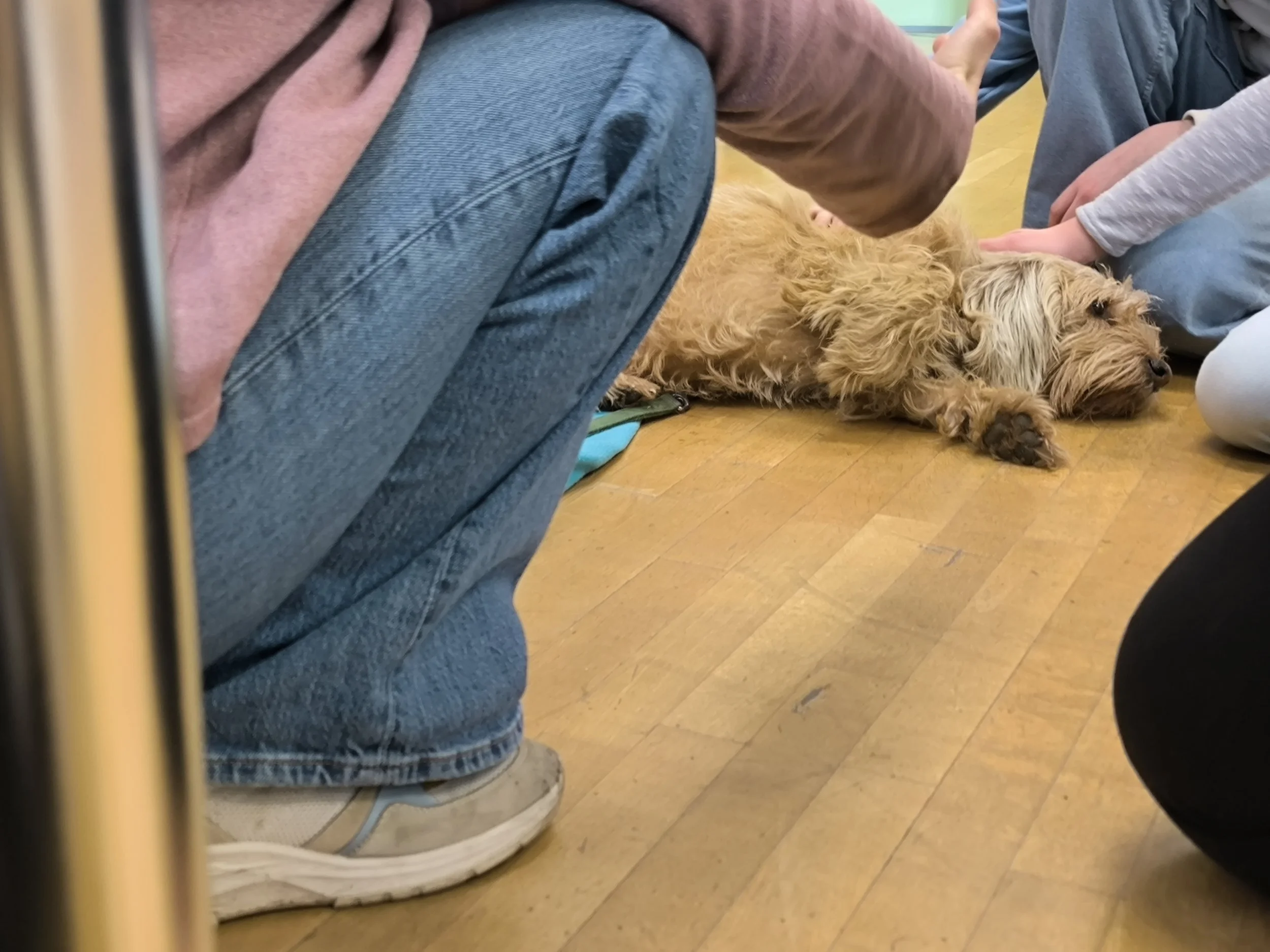 TdpG_MSi Hernals_260304_04.jpg