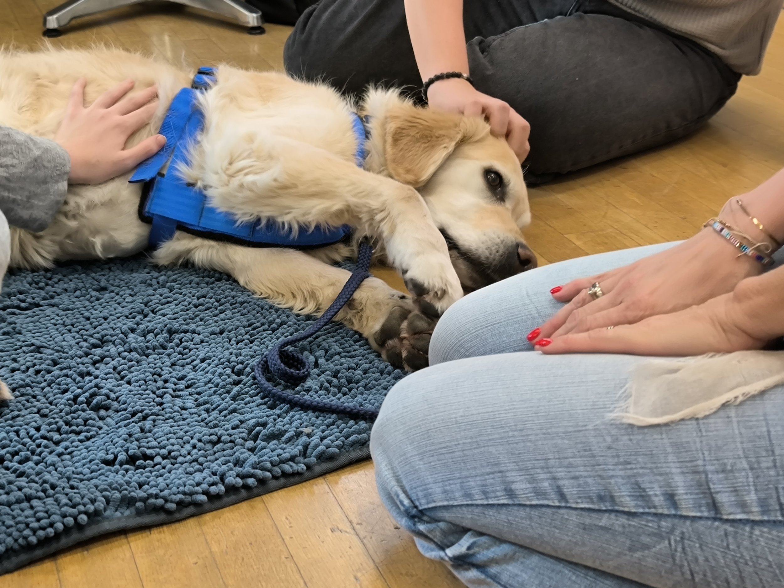 TdpG_MSi Hernals_260305_08.jpg