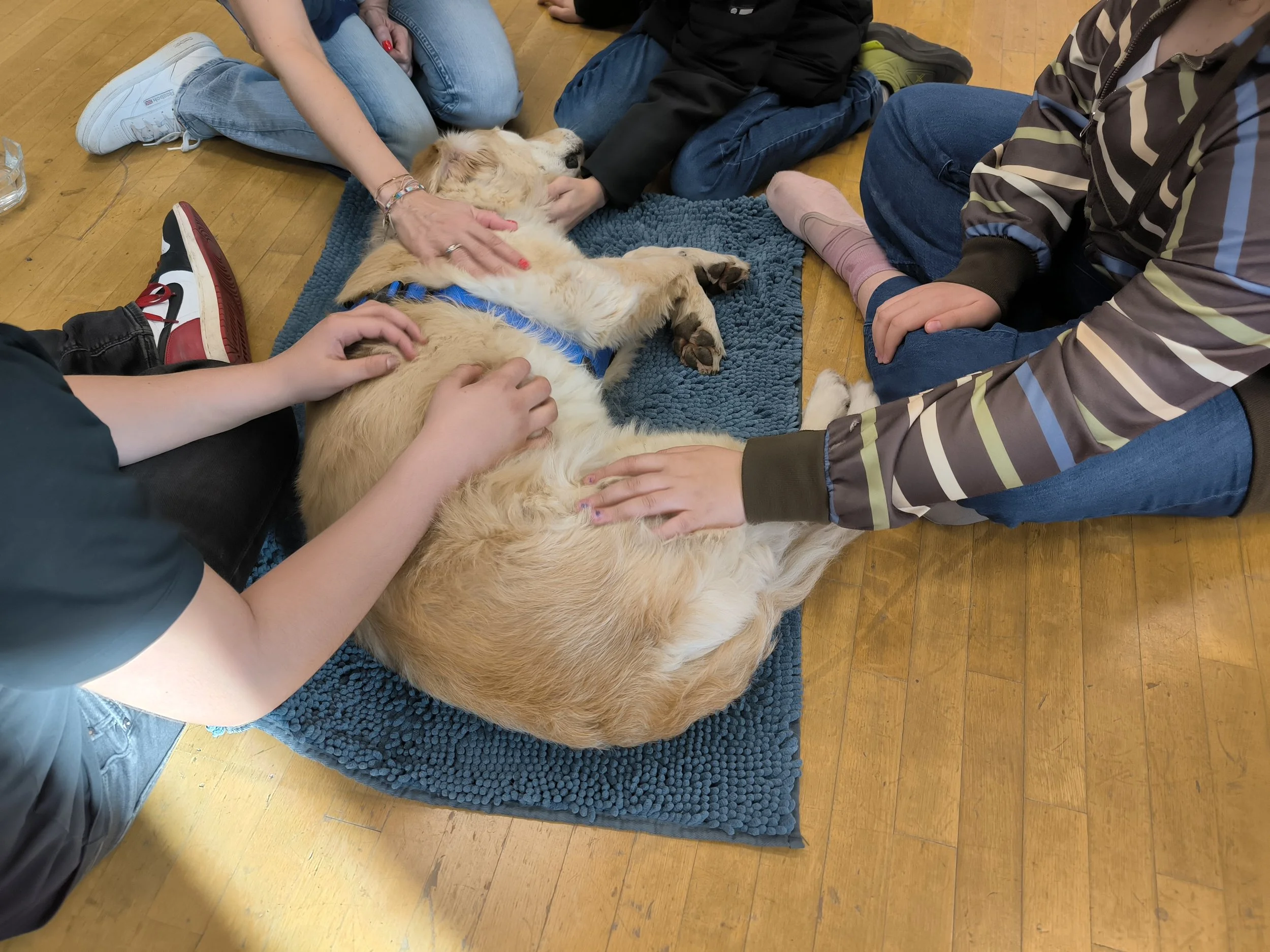 TdpG_MSi Hernals_260305_13.jpg