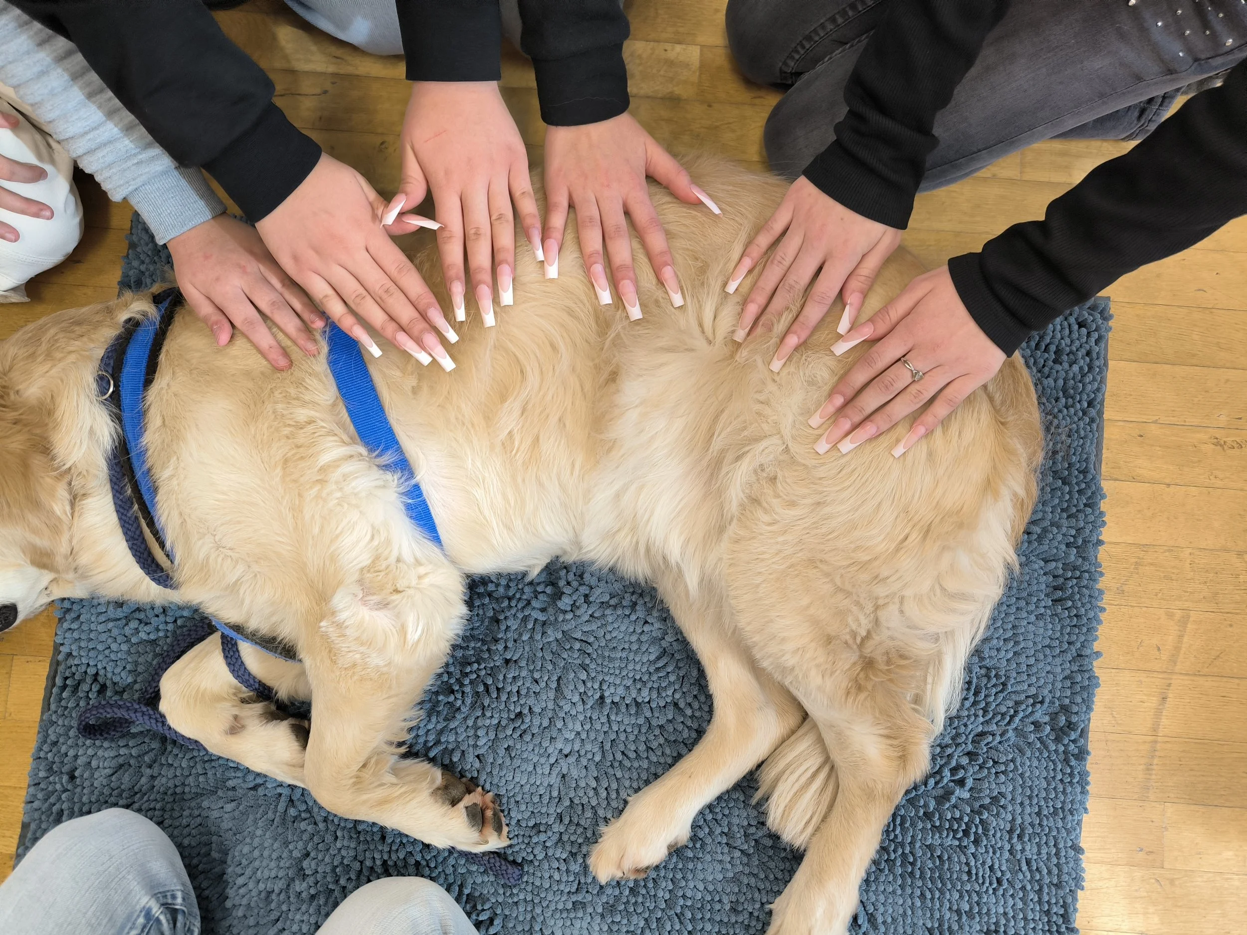 TdpG_MSi Hernals_260305_125.jpg