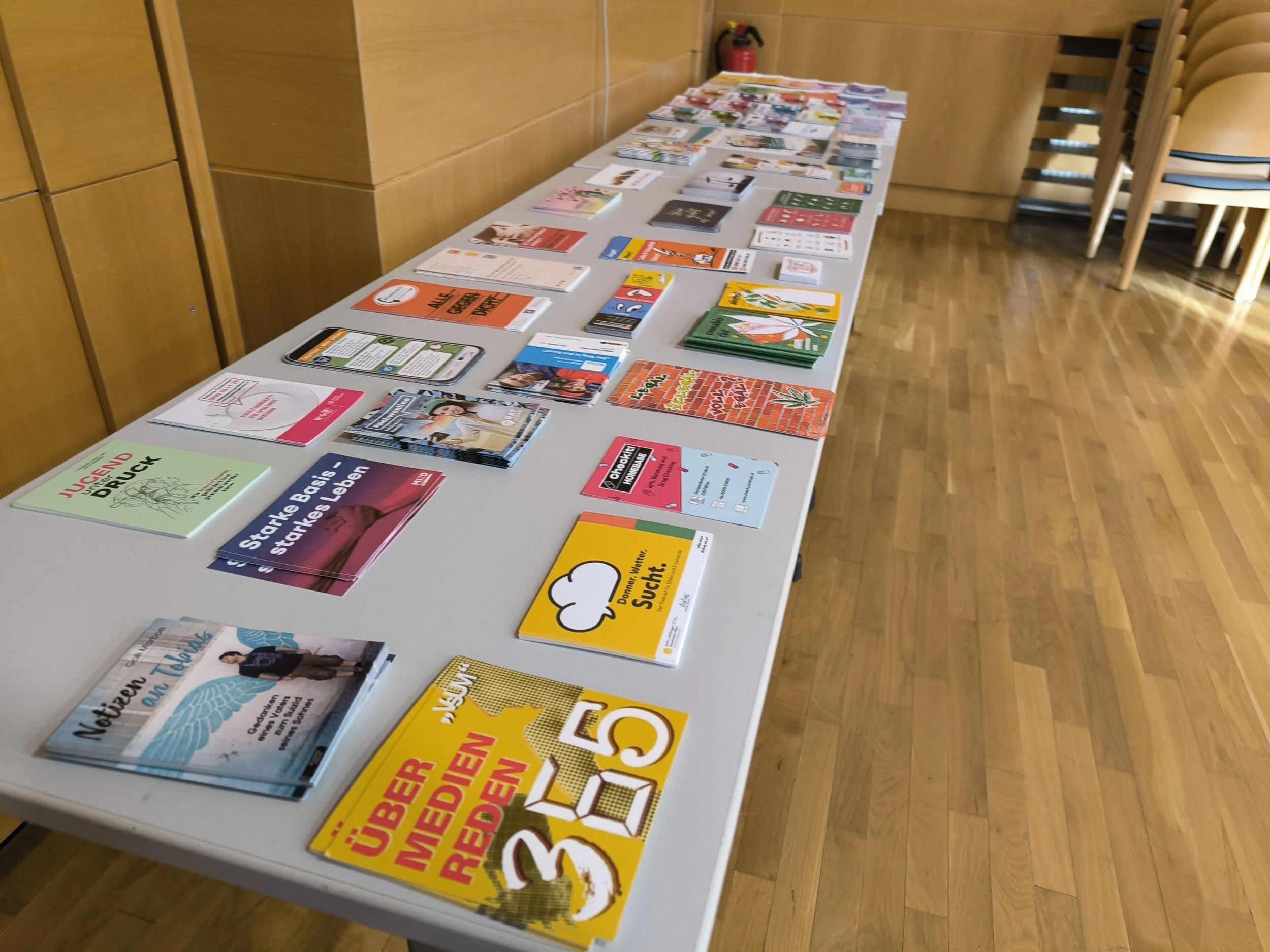 TdpG_BG:BRG Mattersburg_260309_05.jpg