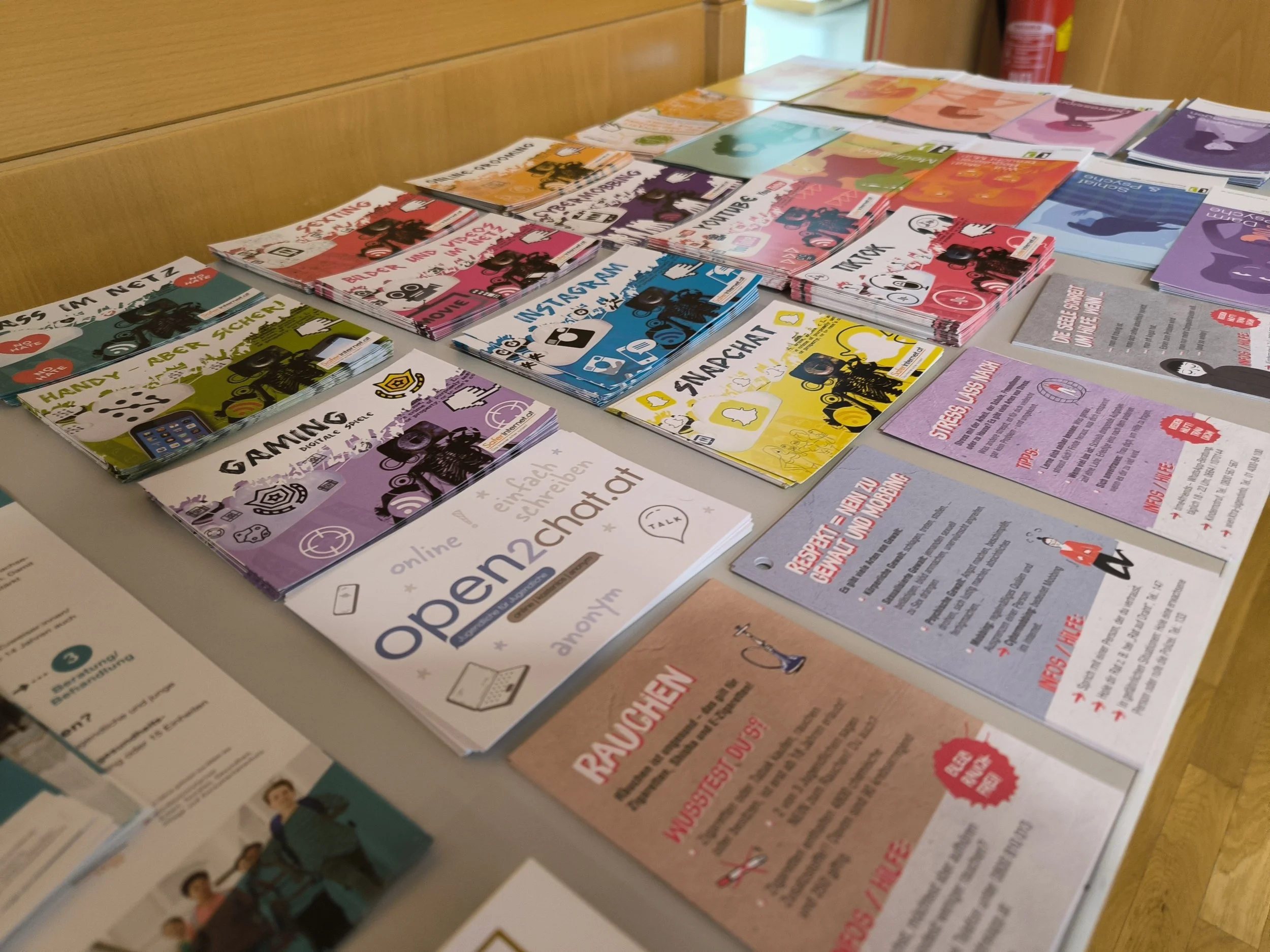 TdpG_BG:BRG Mattersburg_260309_07.jpg