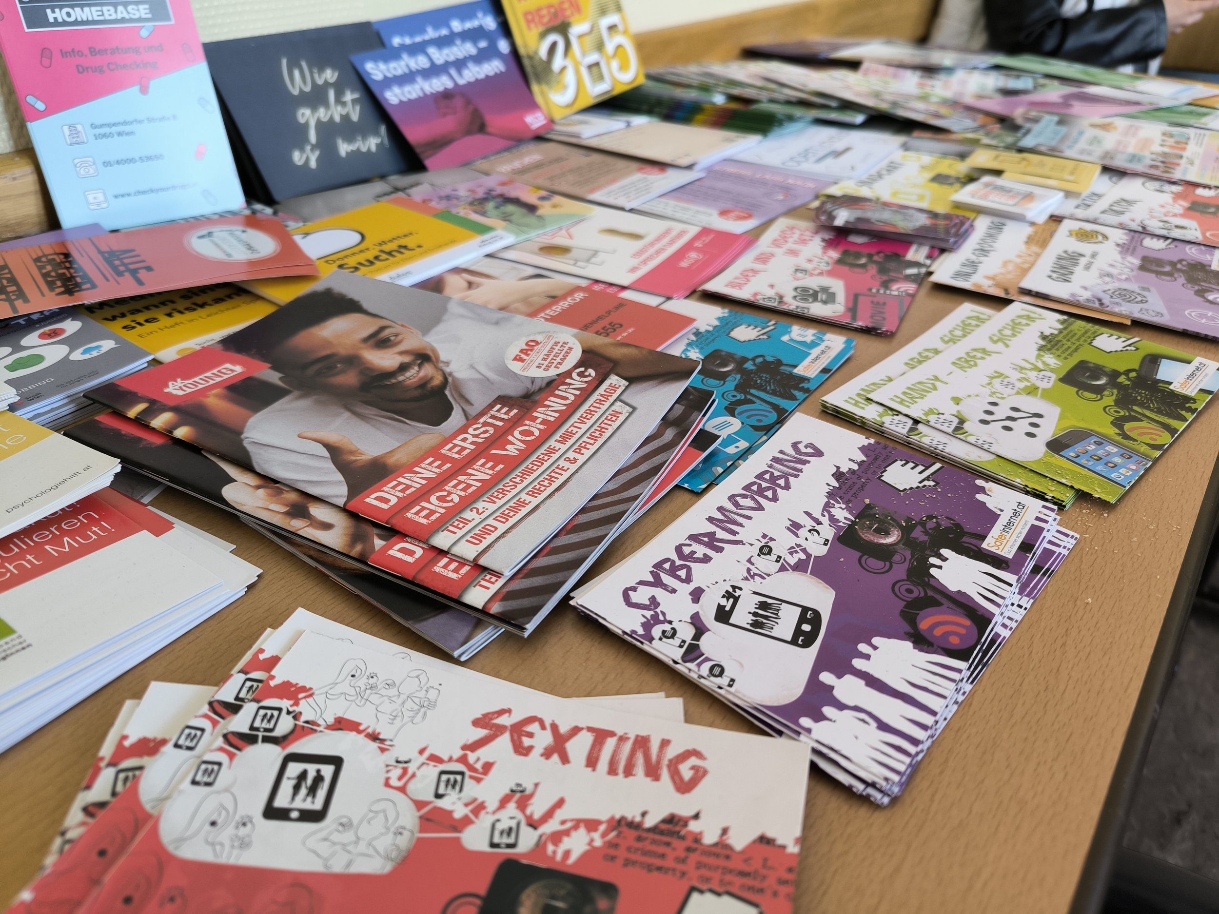 TdpG_Berufsschule für Sanitär und Heizungstechnik Mollardgasse_260311_03.jpg