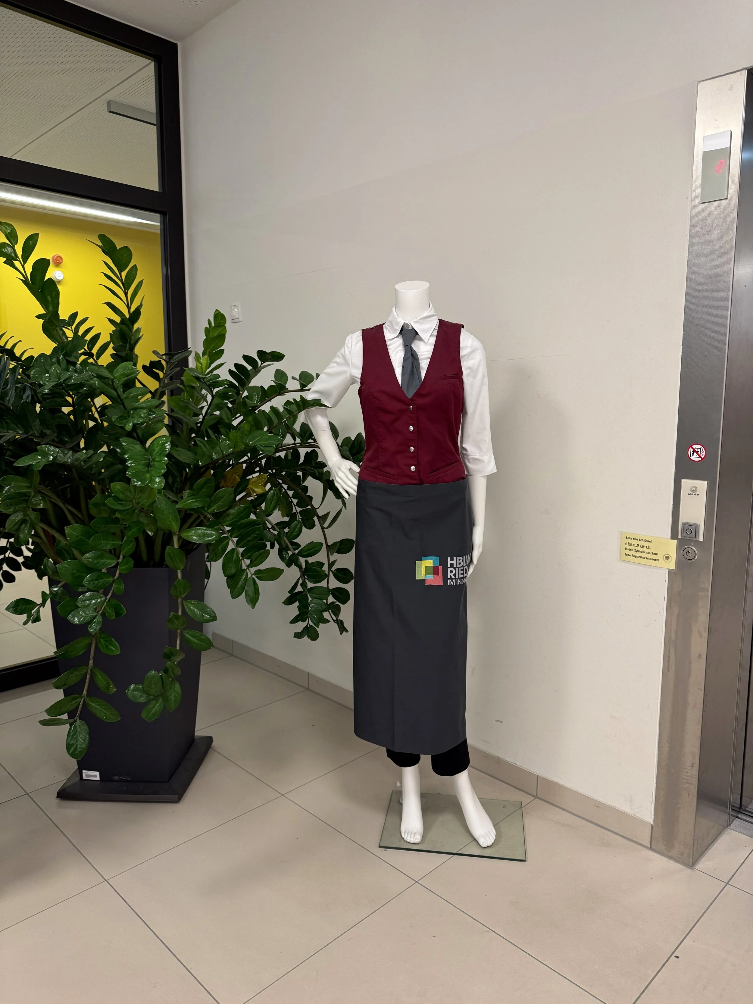 TdpG_HBLW und Fachschule Ried im Innkreis_260313_01_1.jpg