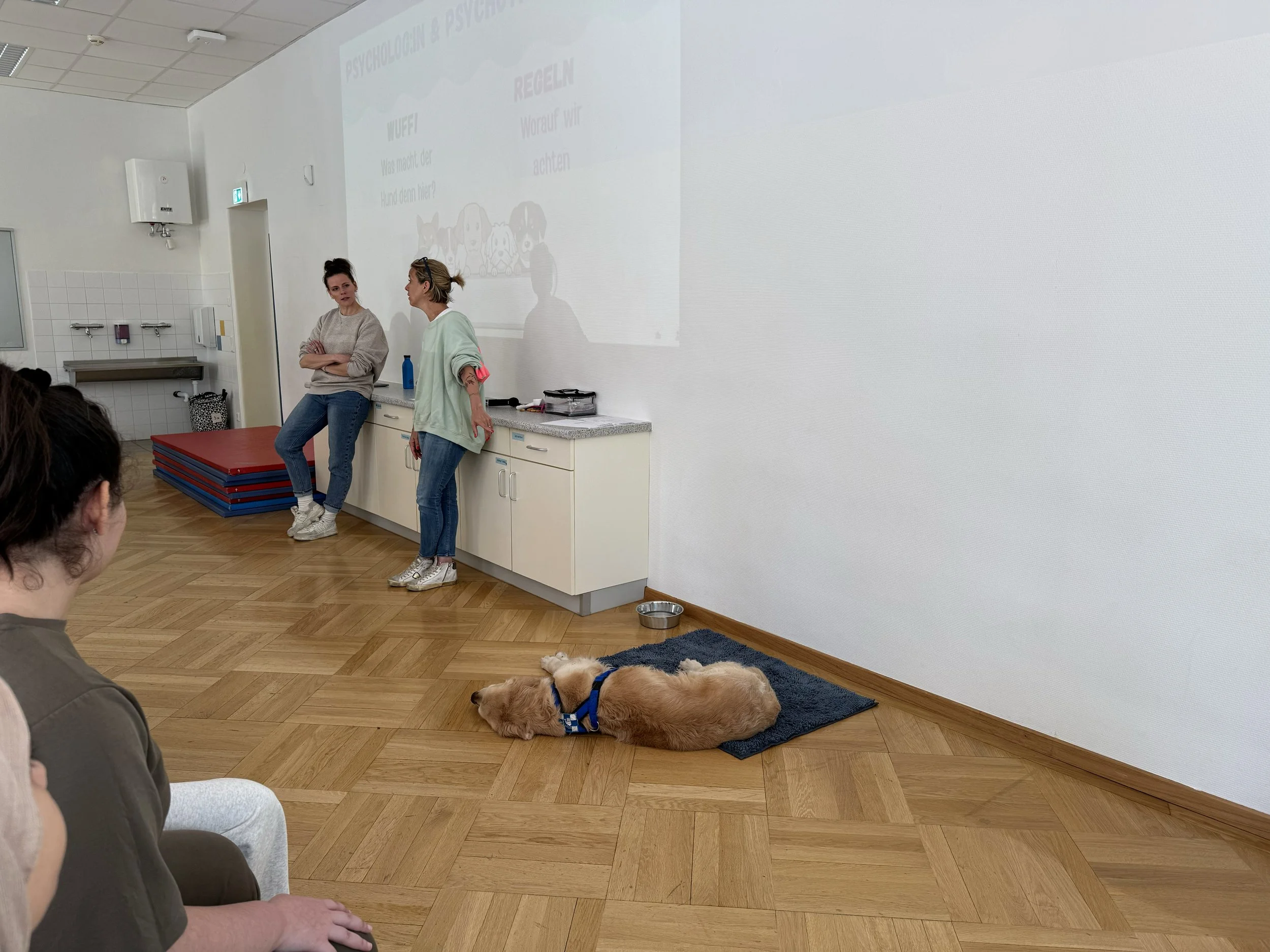 TdpG_Pflichtschulcluster Nussdorf_260408_19.jpg
