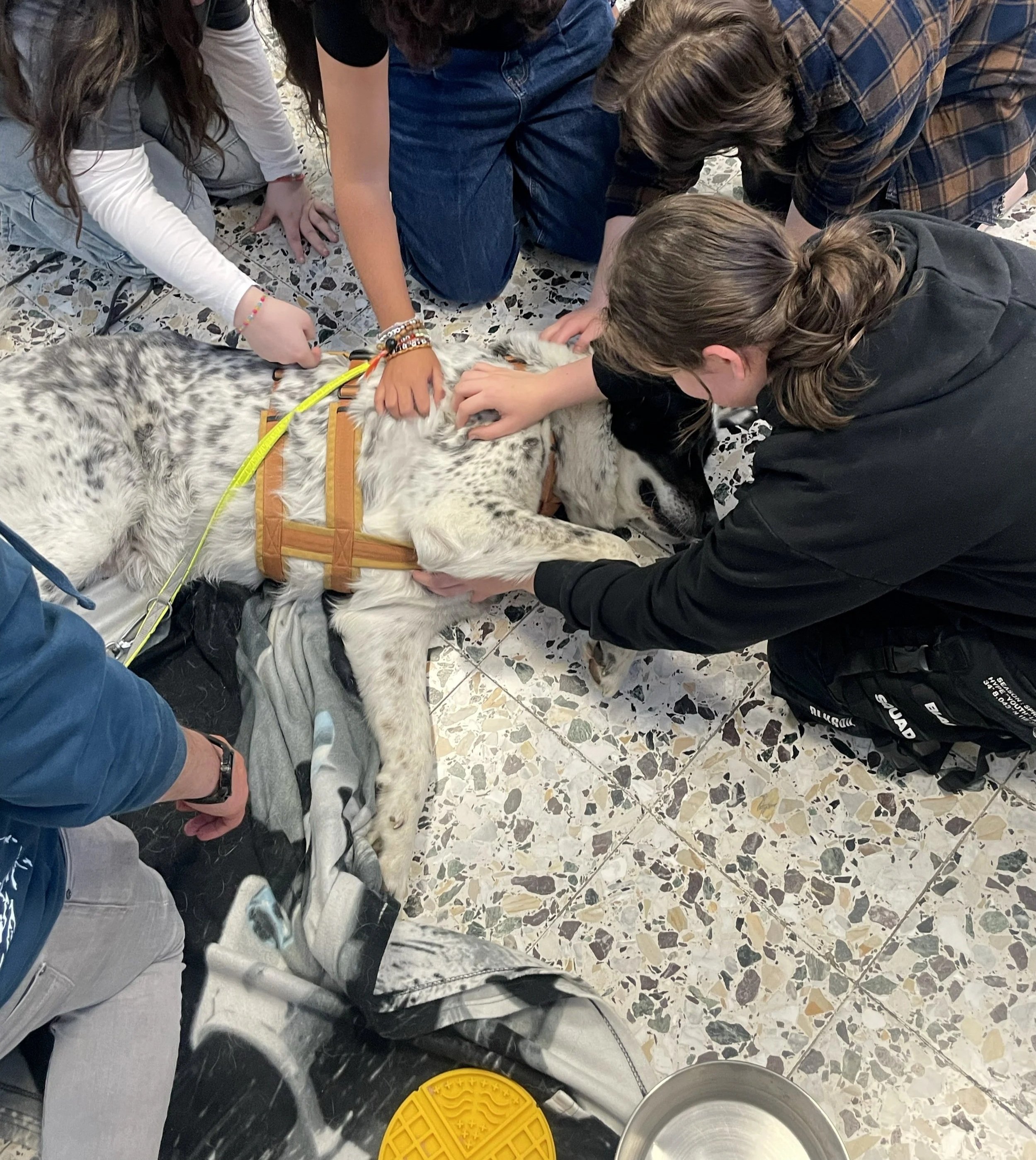 TdpG_Musik-+und+Informatikmittelschule+Wendstattgasse_260420_14.jpg