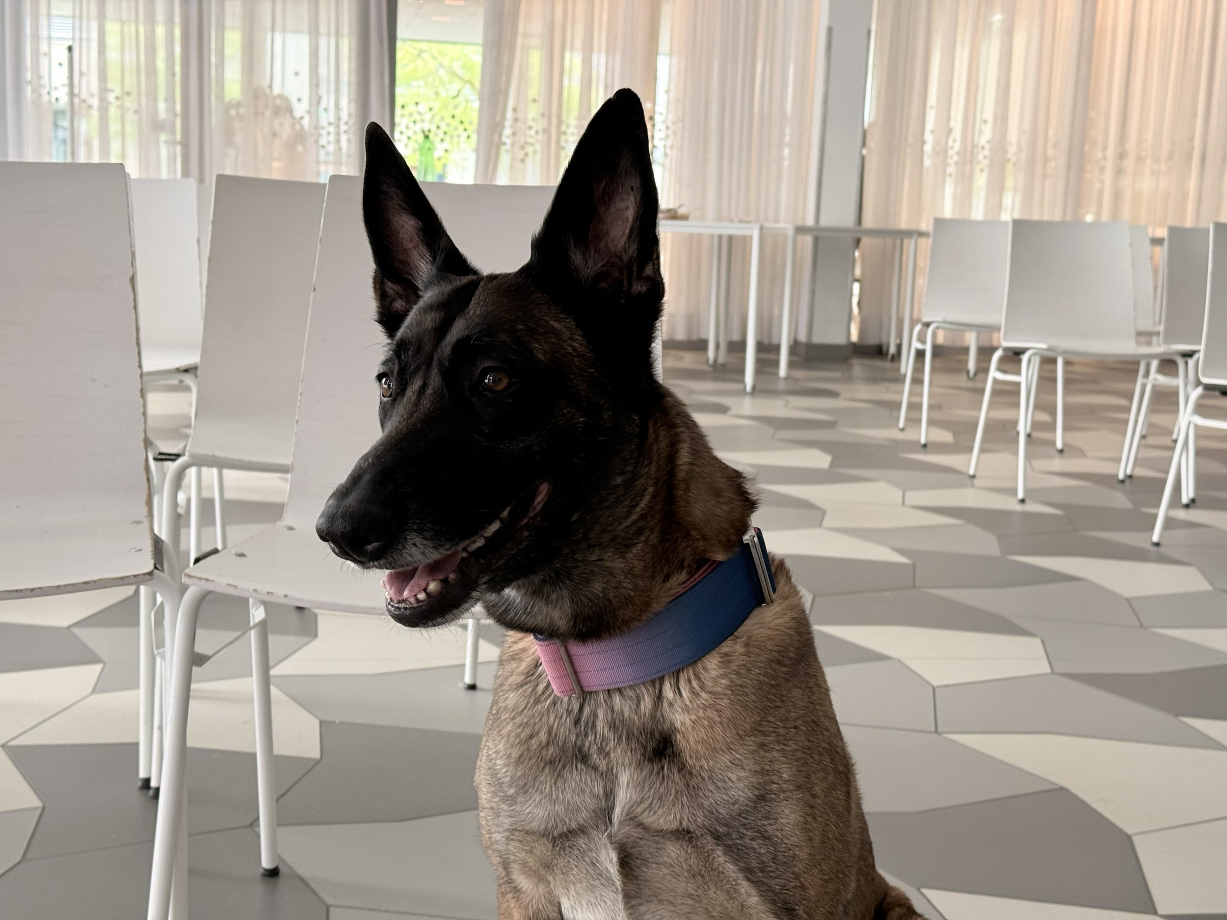 TdpG_GTMS Sonnwendviertel_260421_126.jpg