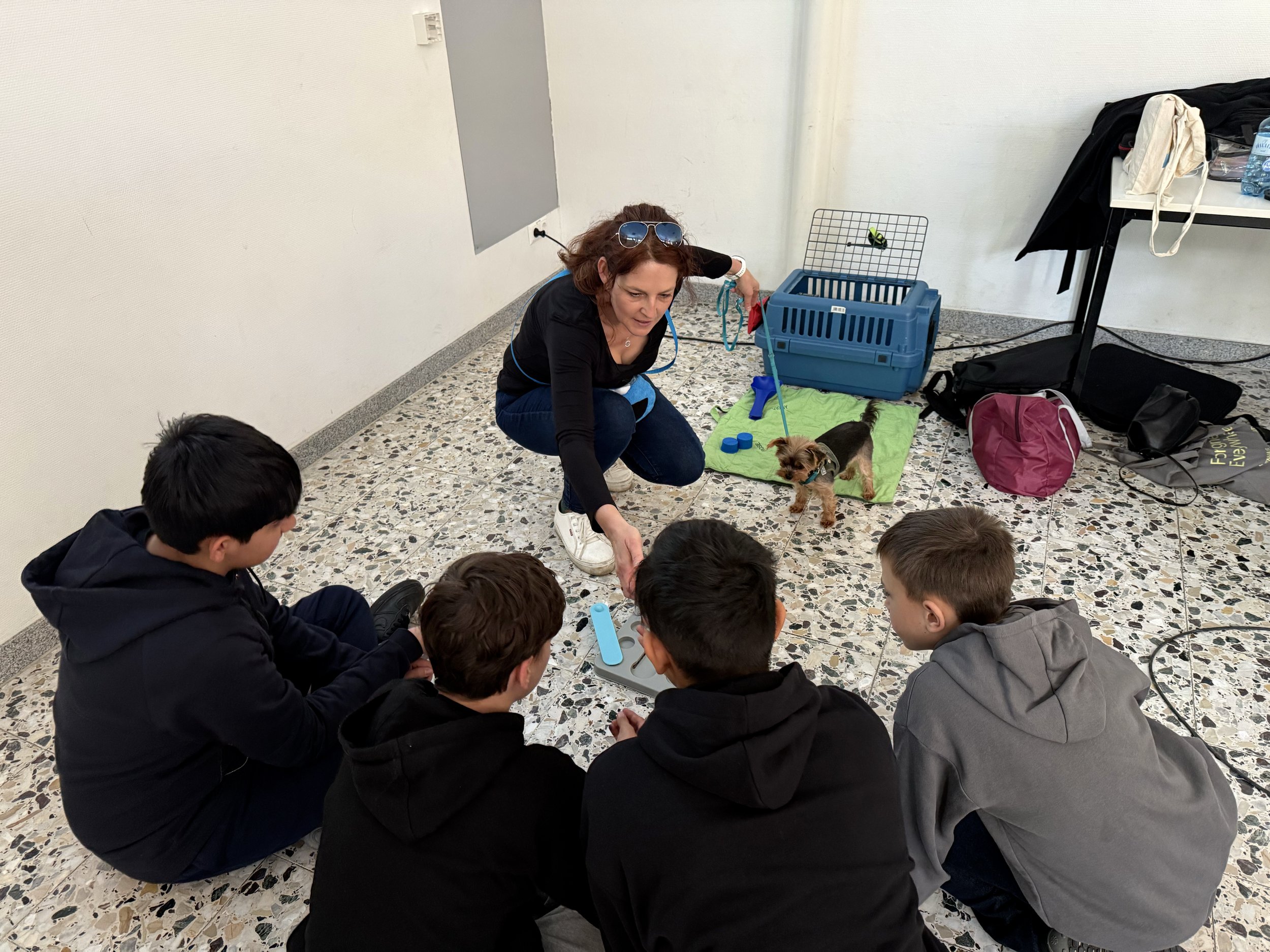 TdpG_Musik- und Informatikmittelschule Wendstattgasse_260420_50.jpg
