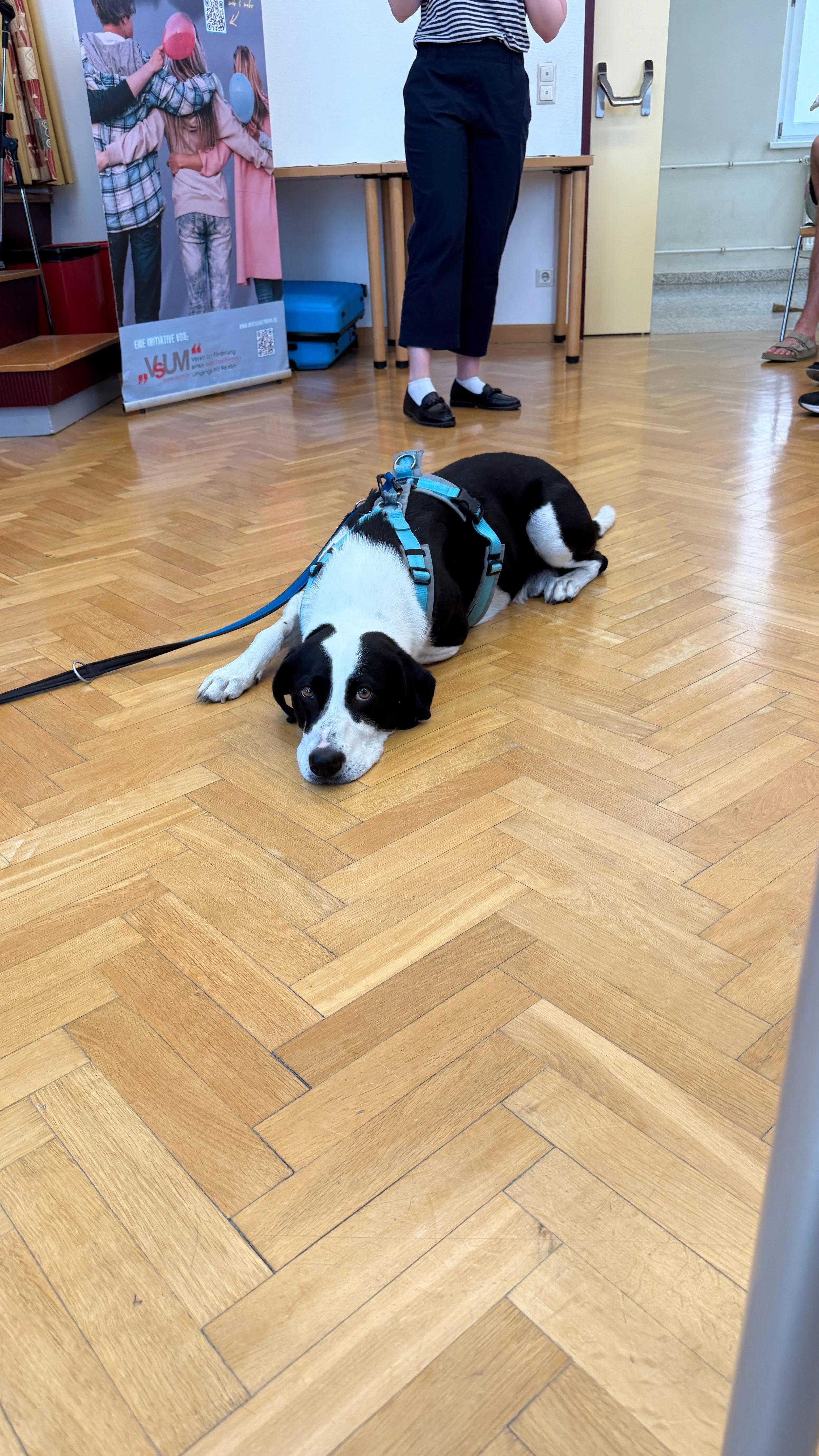 TdpG_MS Pöchlarnstraße_260616_113_1.jpg