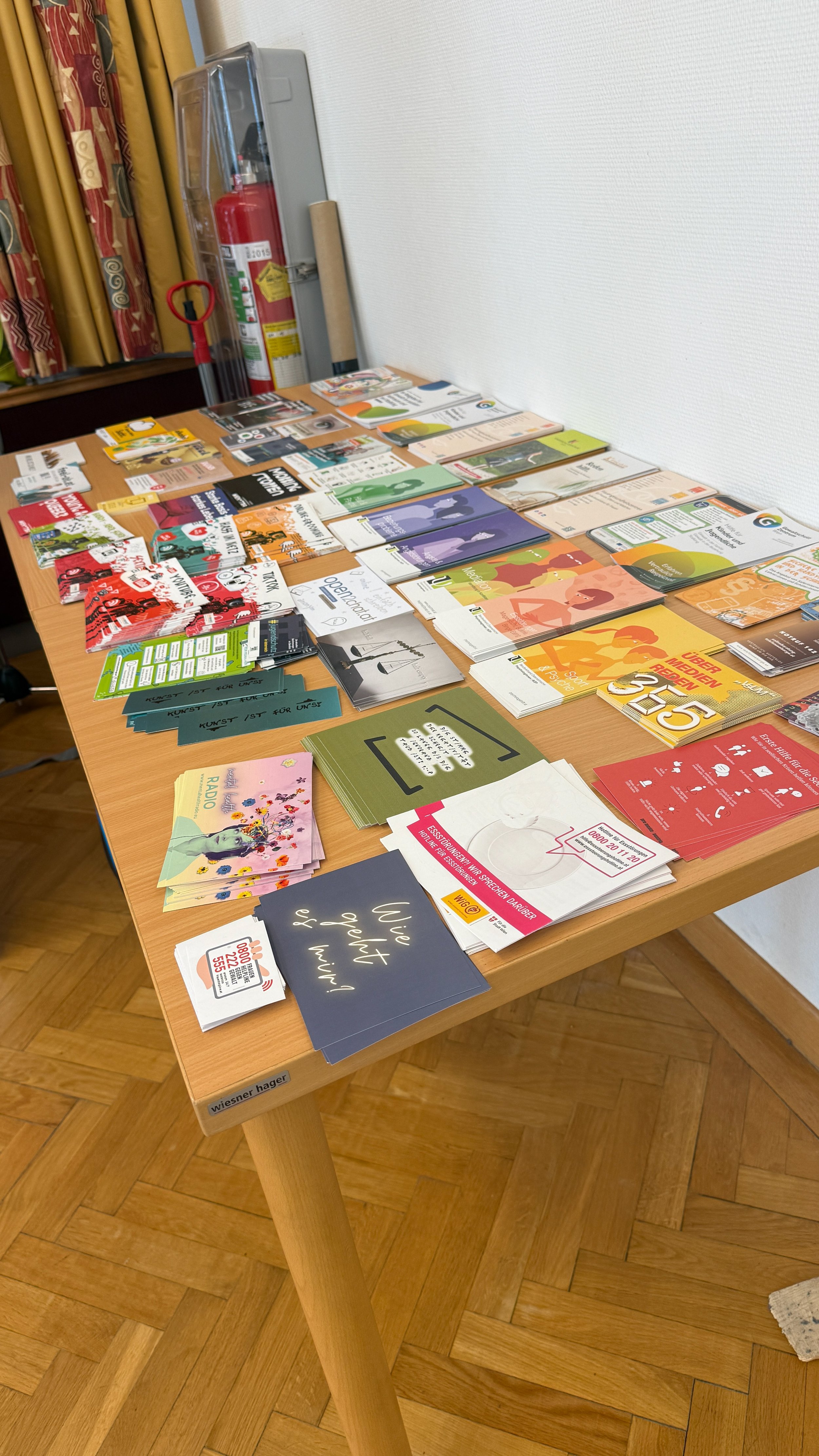 TdpG_MS Pöchlarnstraße_260616_167_1.jpg