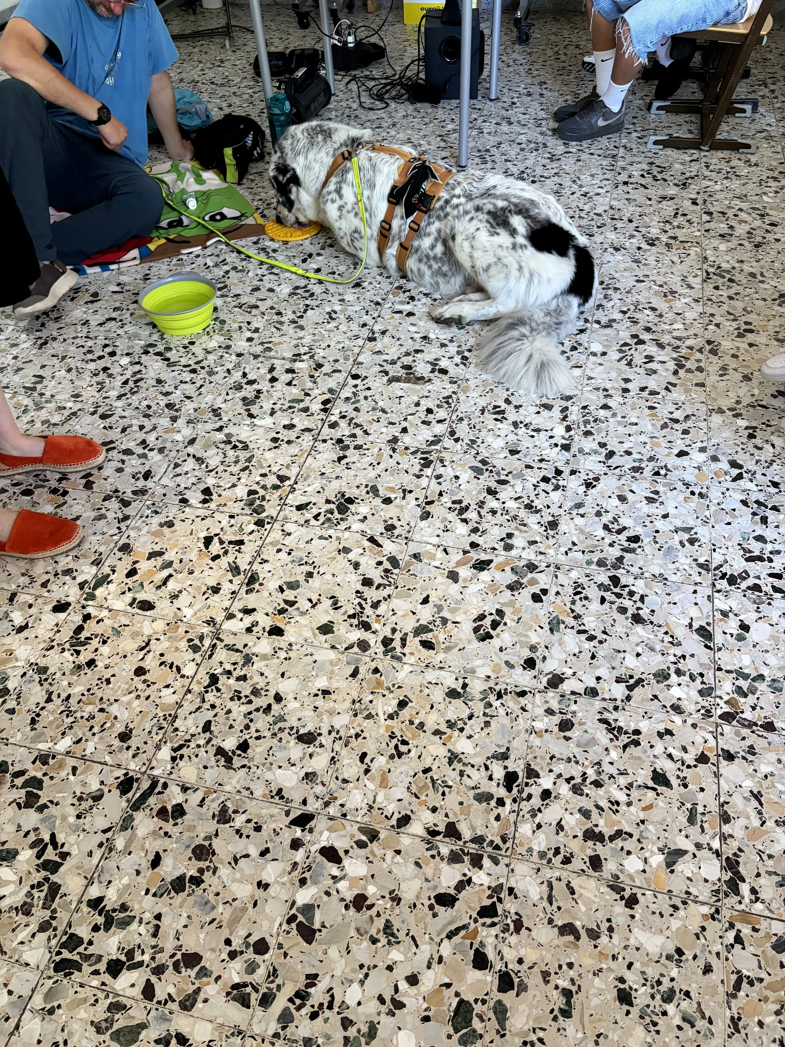 TdpG_SMS 10_260616_44.jpg