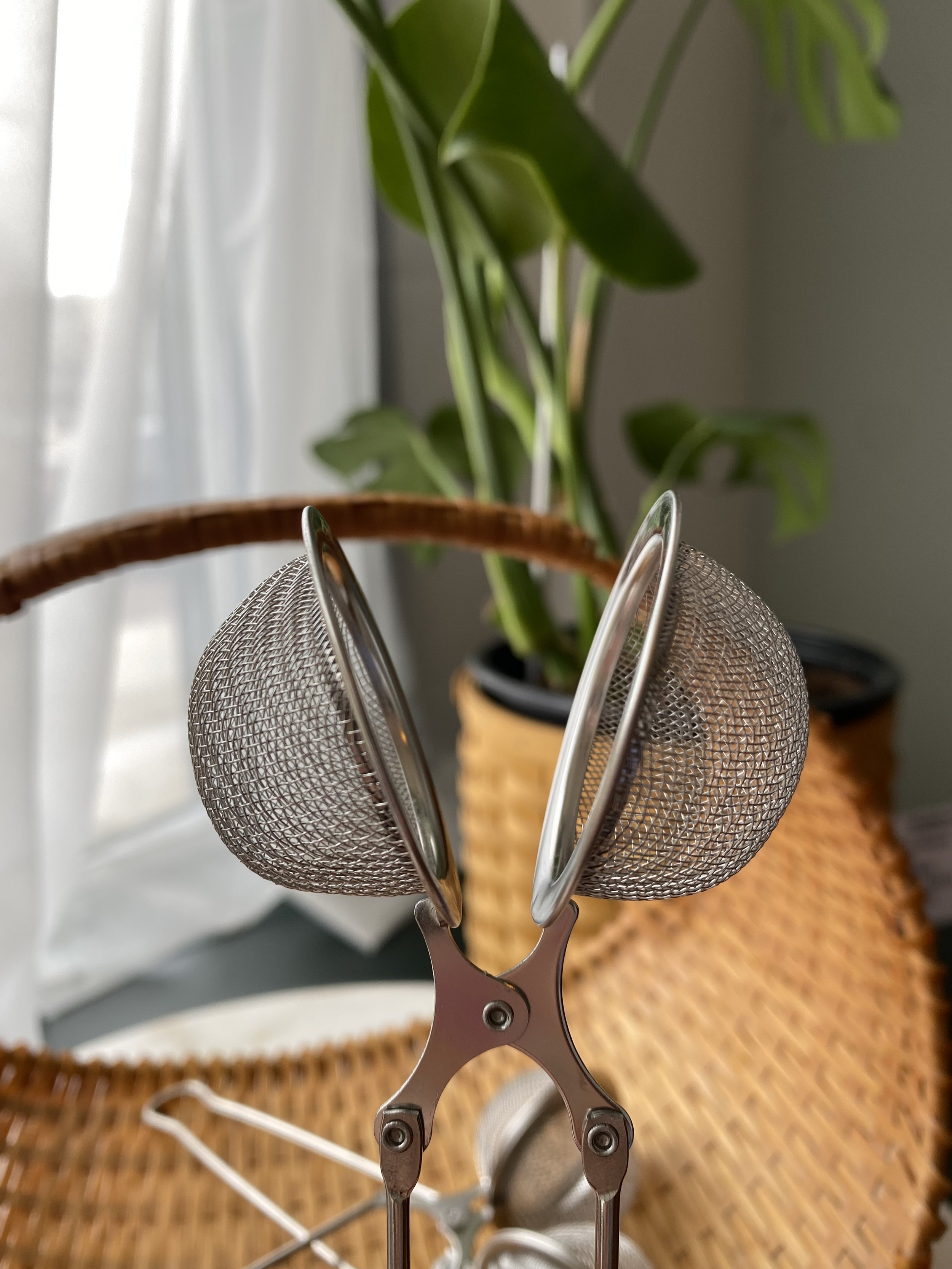 tea infuser 2.jpeg