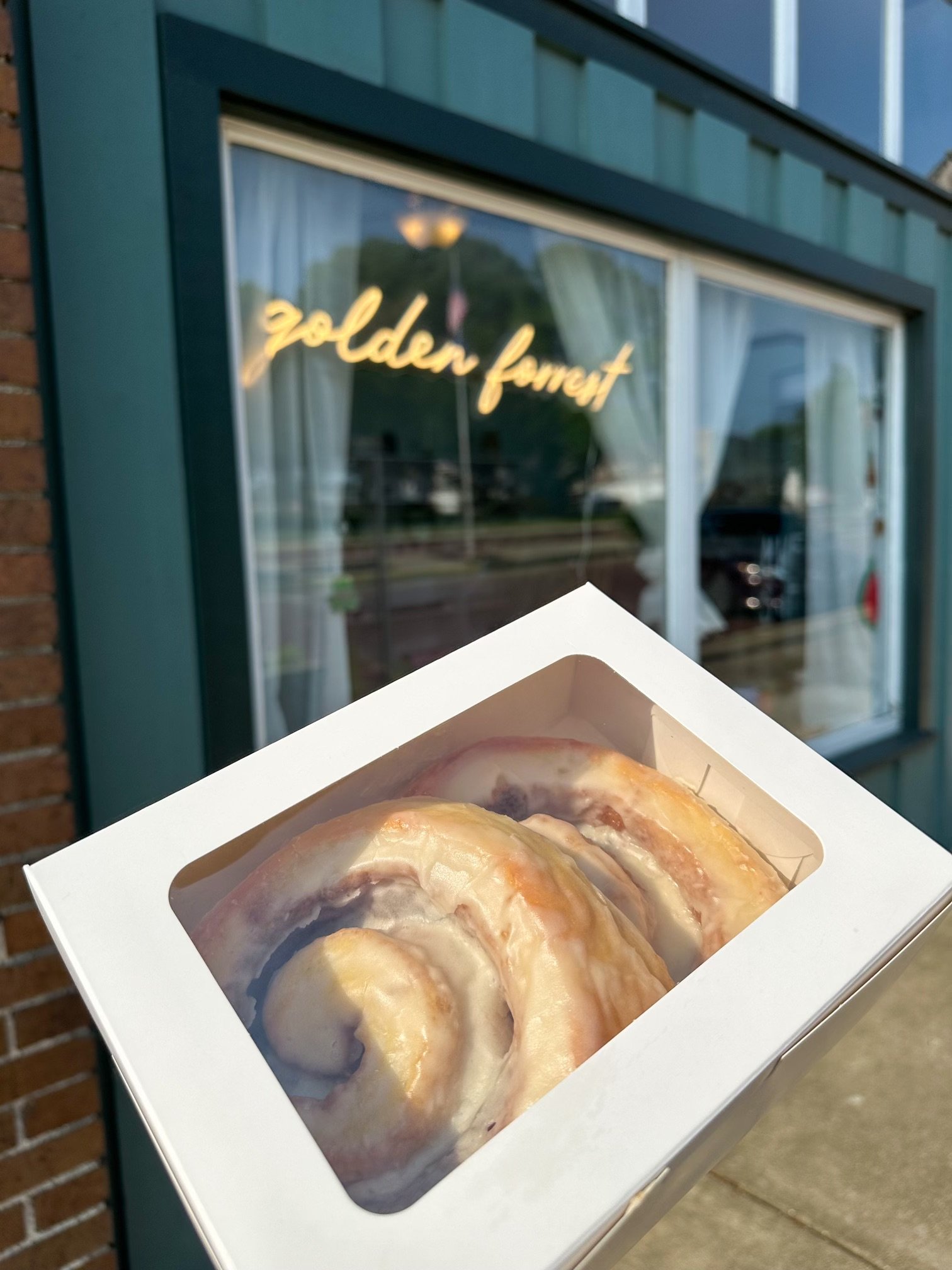 jumbo cinnamon roll.jpeg