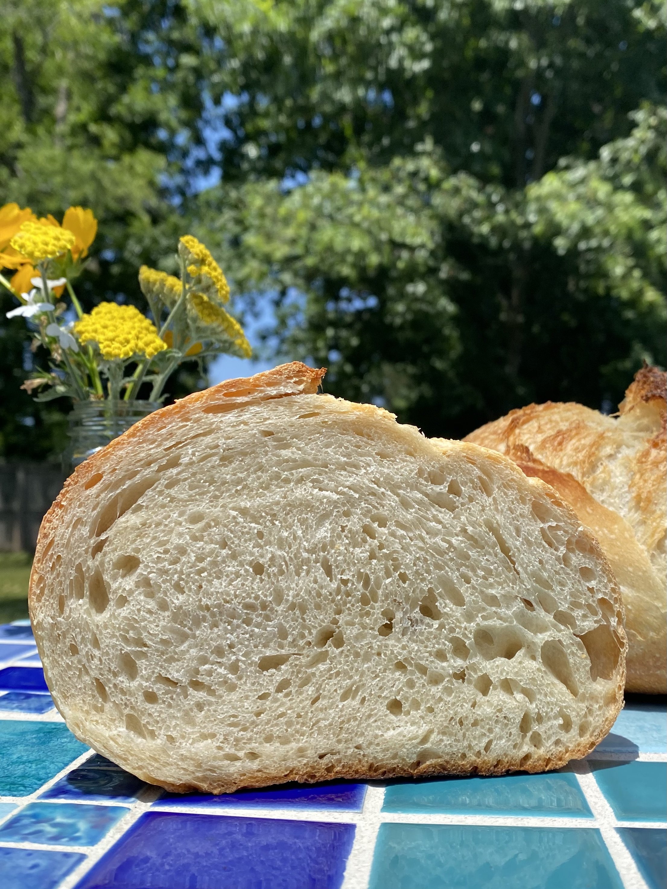 sourdough loaf interior.jpeg