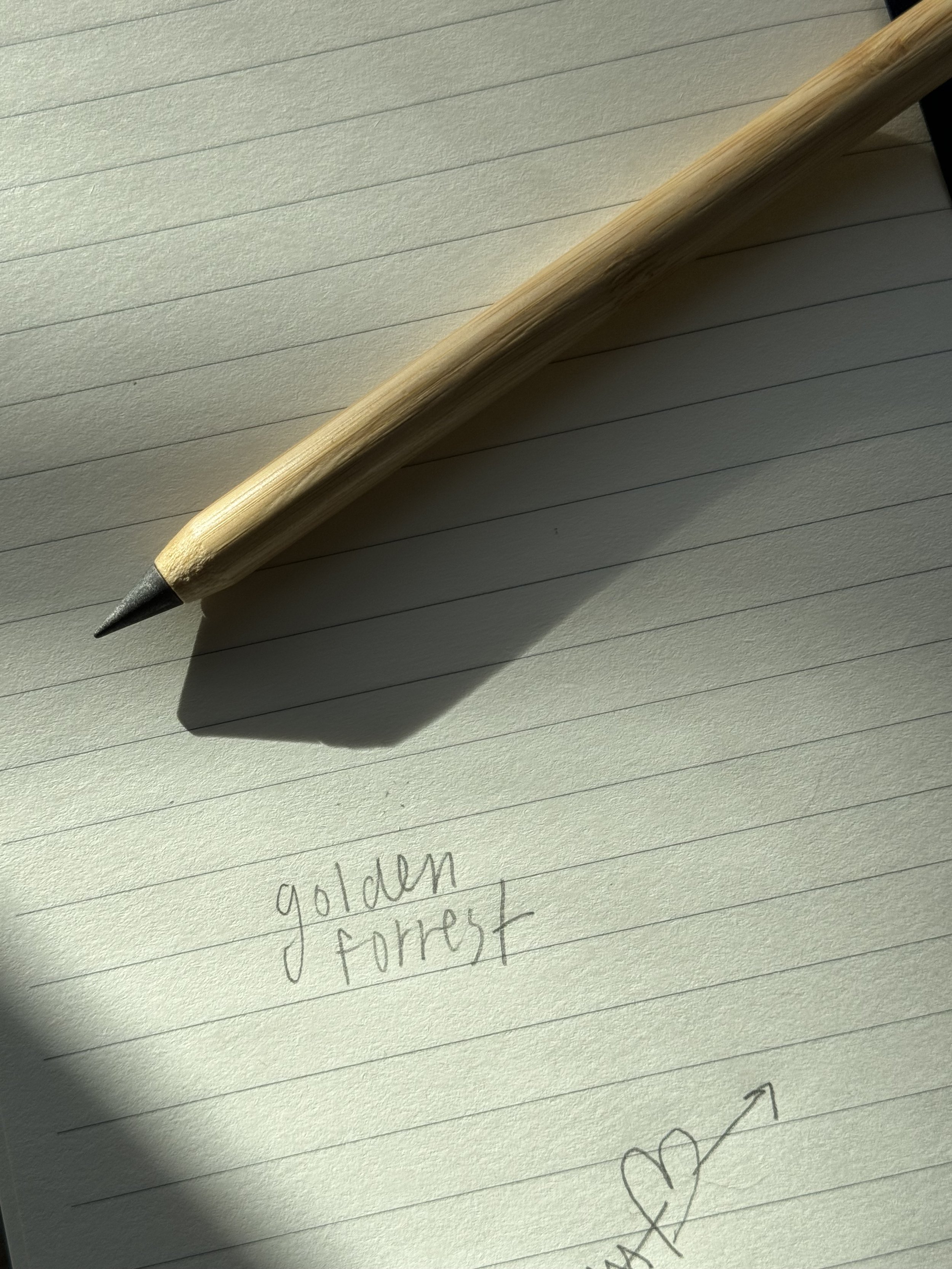 bamboo pencil never needs to be sharpened.jpeg