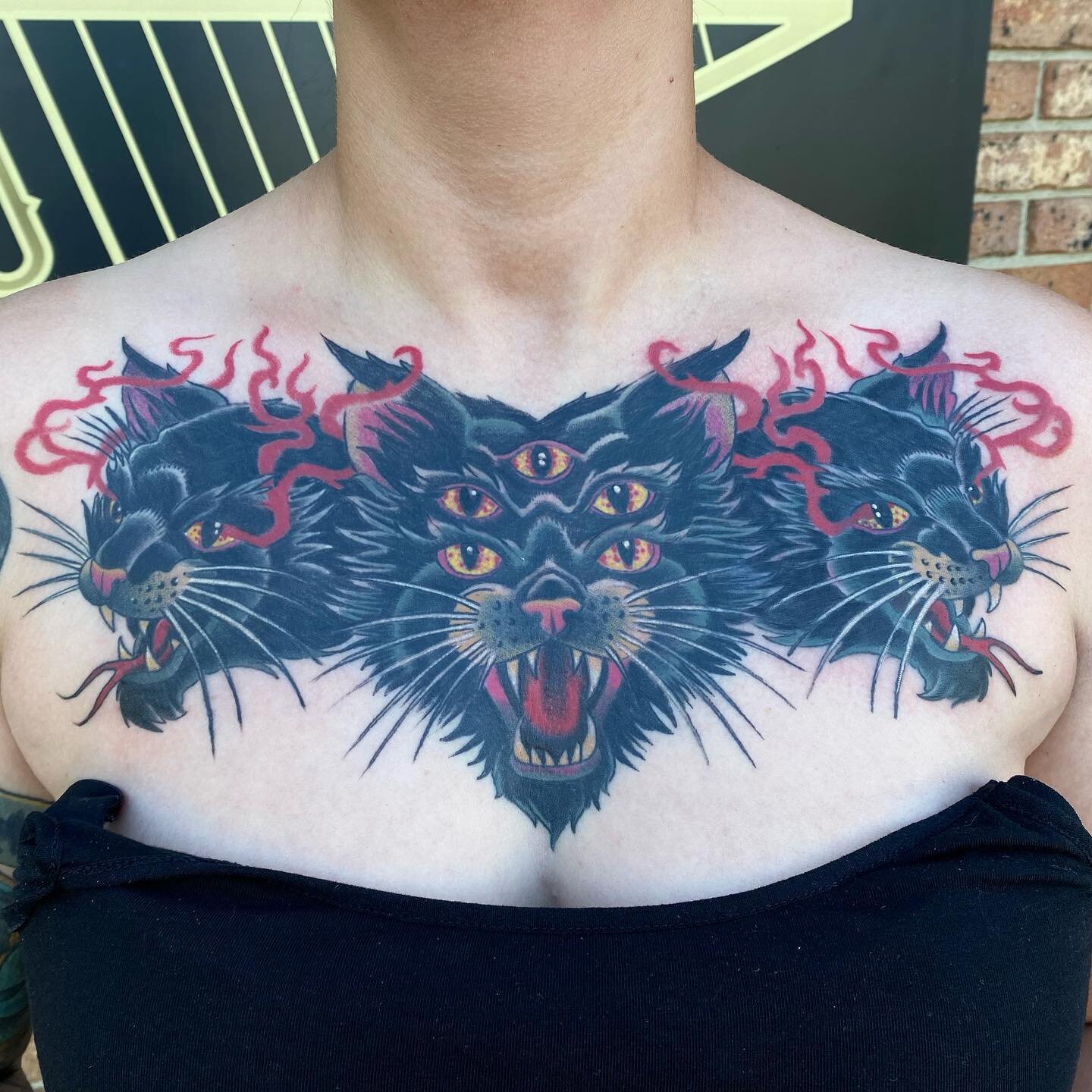 Spooky cat chest piece 🐱😺🐱 most healed, some fresh. @snakeoiltattoo #cattattoo #chesttattoo #spookycat #kentuckytattooartist