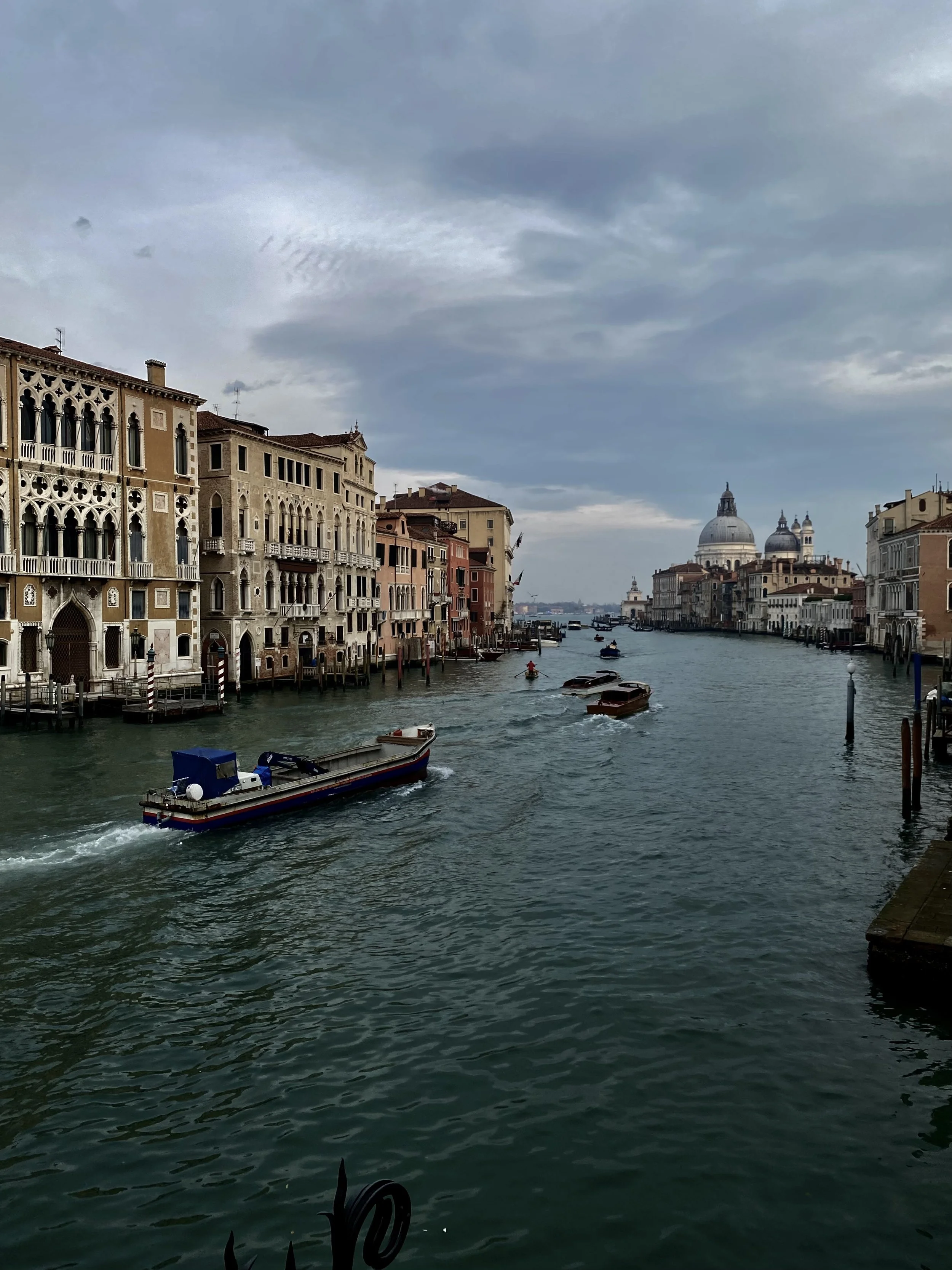 THE ART OF NOTICING: VENICE EDITION.