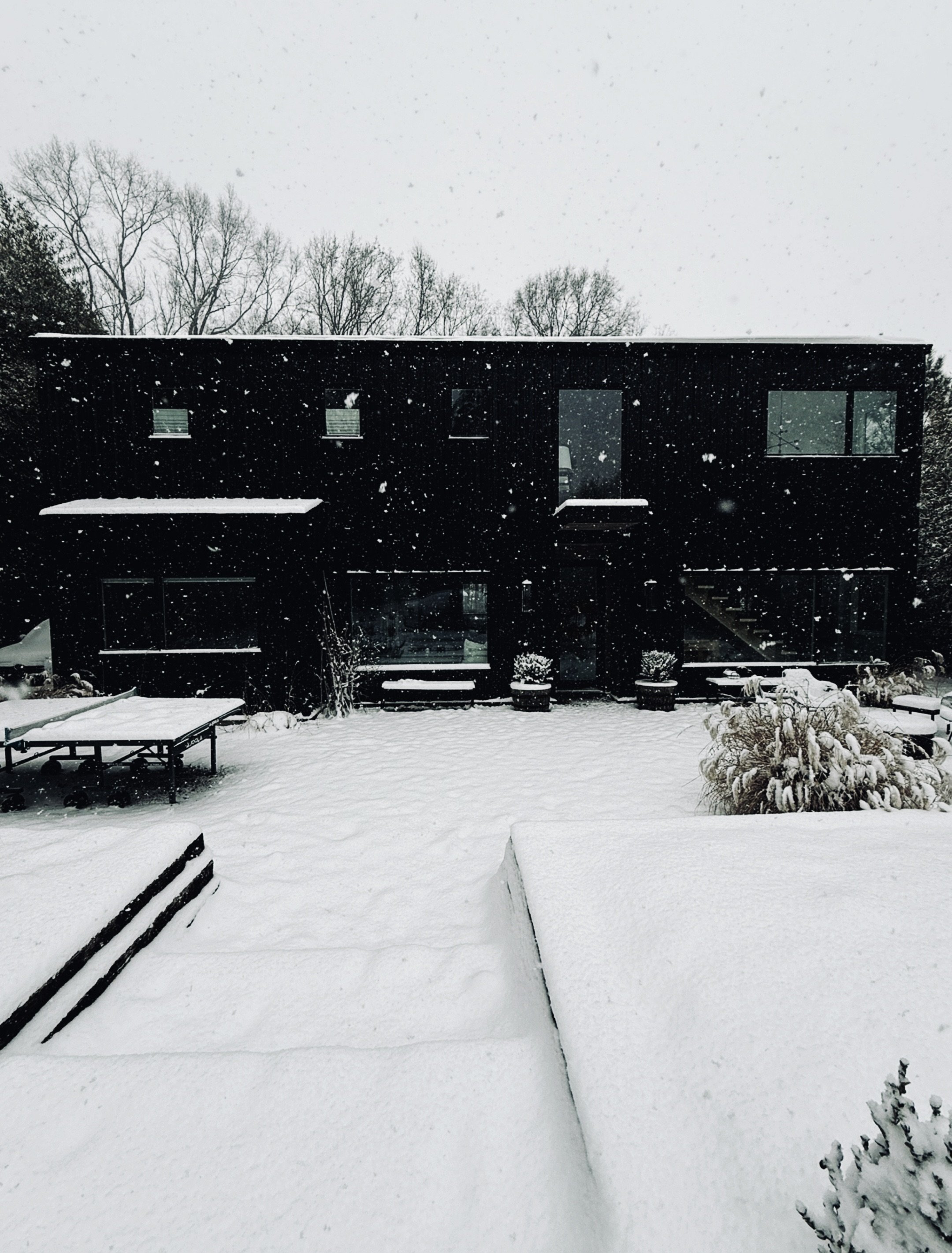 WEEK IN IMAGES | FIELD NOTES. 